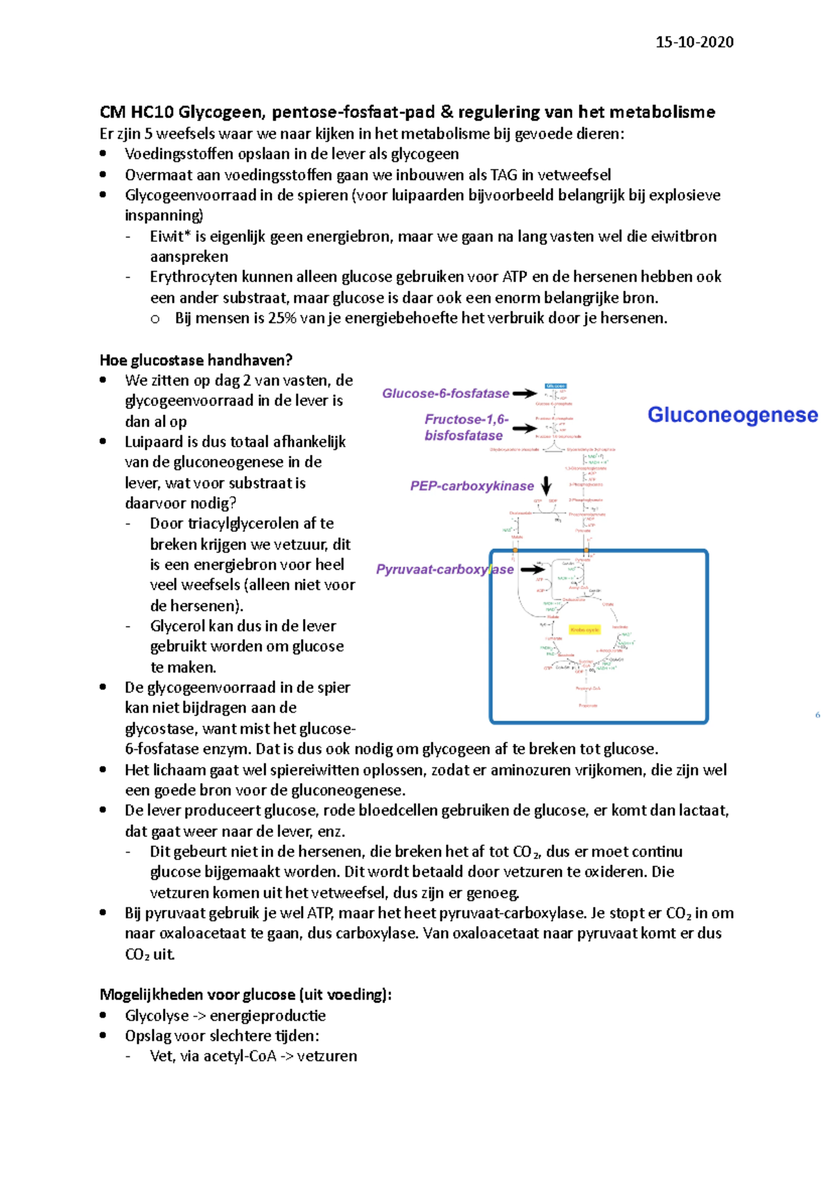 Van Cel Tot Molecuul Hc Gluconeogenese Cm Hc Glycogeen Pentose