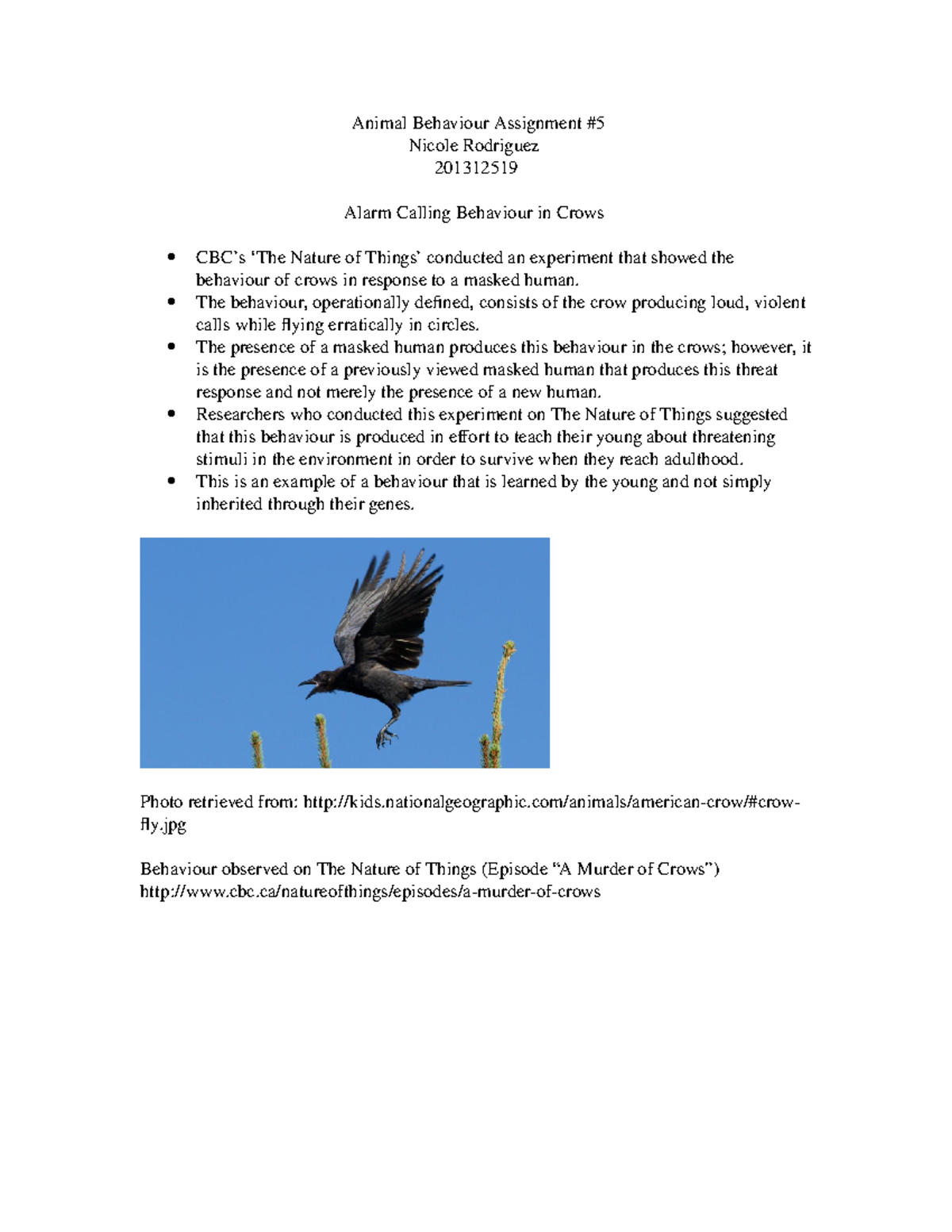 Animal Behaviour Assignment #5 - The behaviour, operationally defined ...