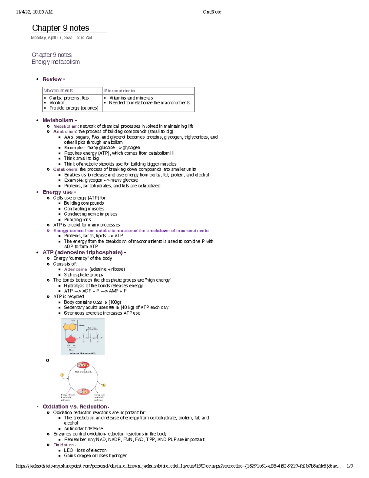 Chapter 9 notes -NUTR315 - Chapter 9 notes Monday, April 11, 2022 9:19 ...