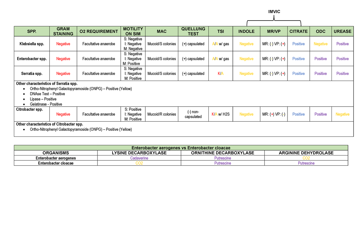 Enterobacteriaceae- Biochemical- Tests - Enterobacter aerogenes vs ...