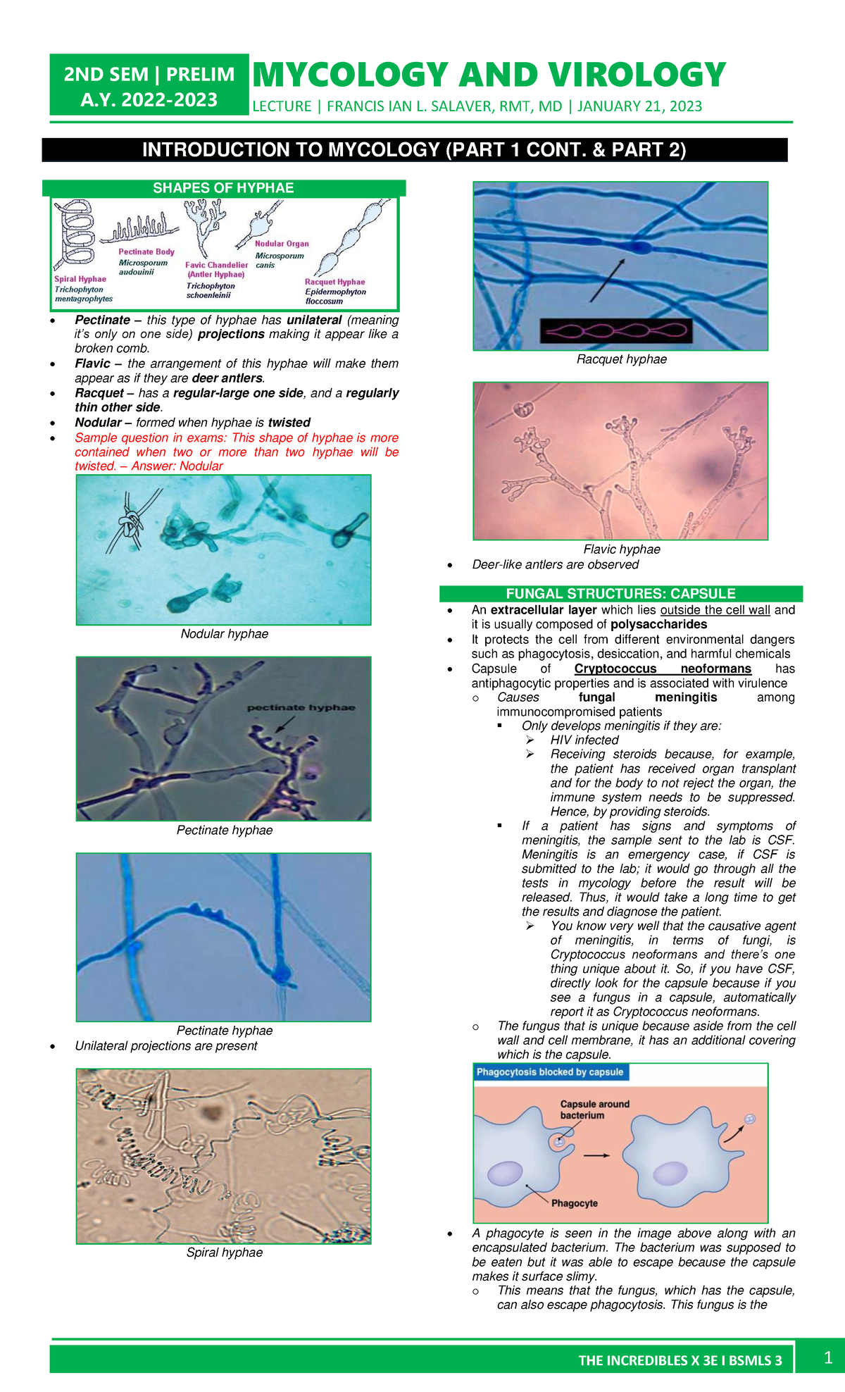 Mycoviro Week-1-Introduction-to-Mycology-Part-2 - MYCOLOGY AND VIROLOGY ...