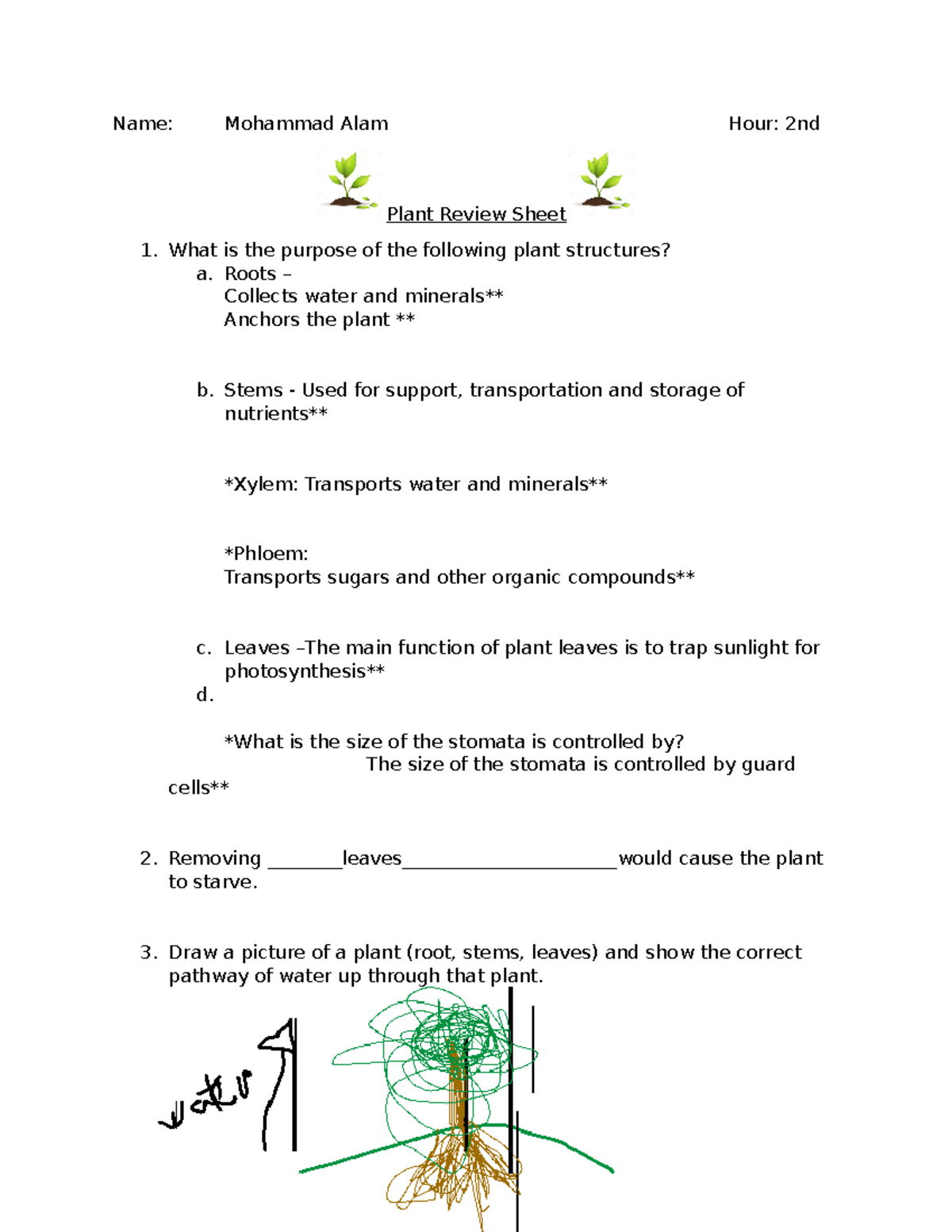 Plant Test Review - Name: Mohammad Alam Hour: 2nd Plant Review Sheet ...