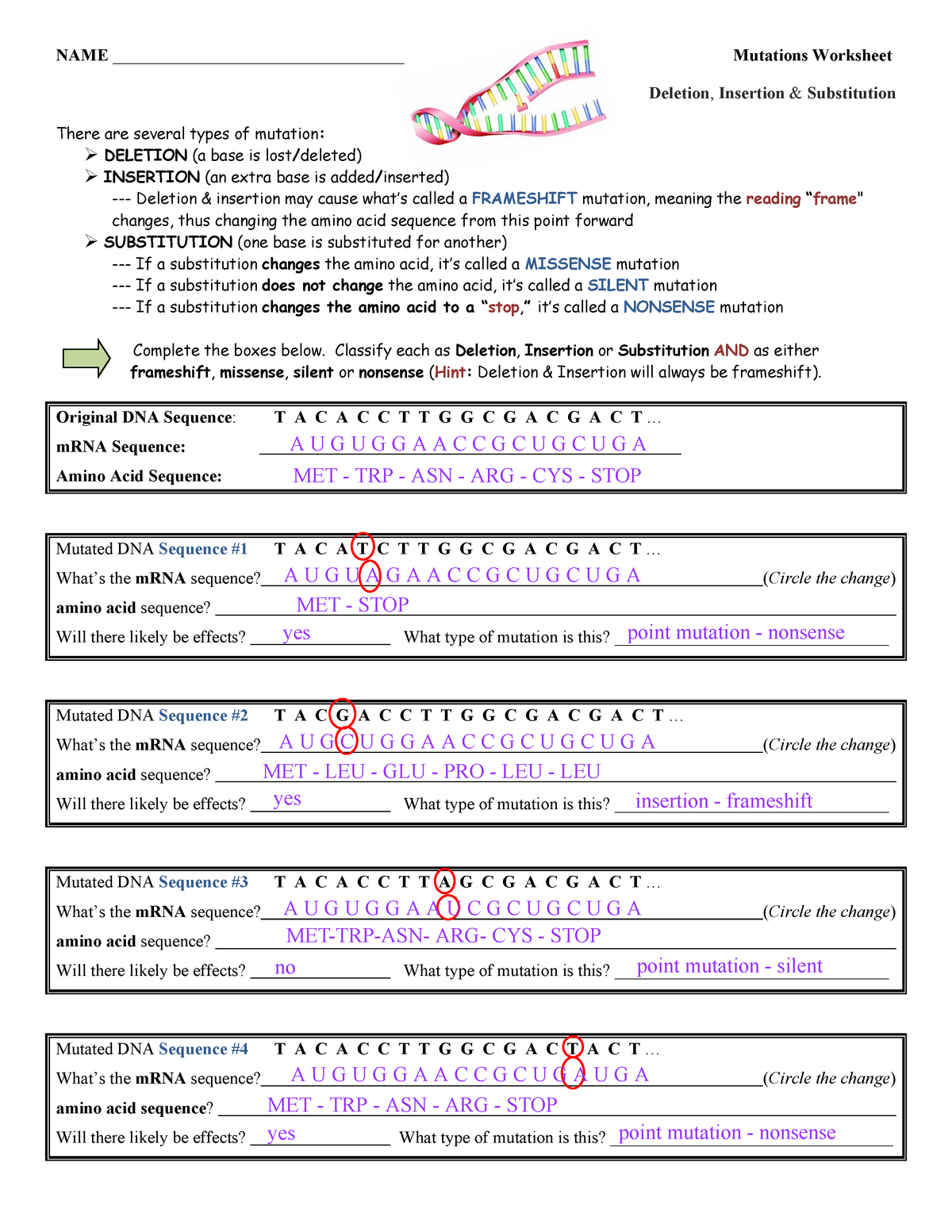 Bio-Worksheet-Mutations - NAME Mutations Worksheet Deletion Regarding Genetic Mutation Worksheet Answer Key