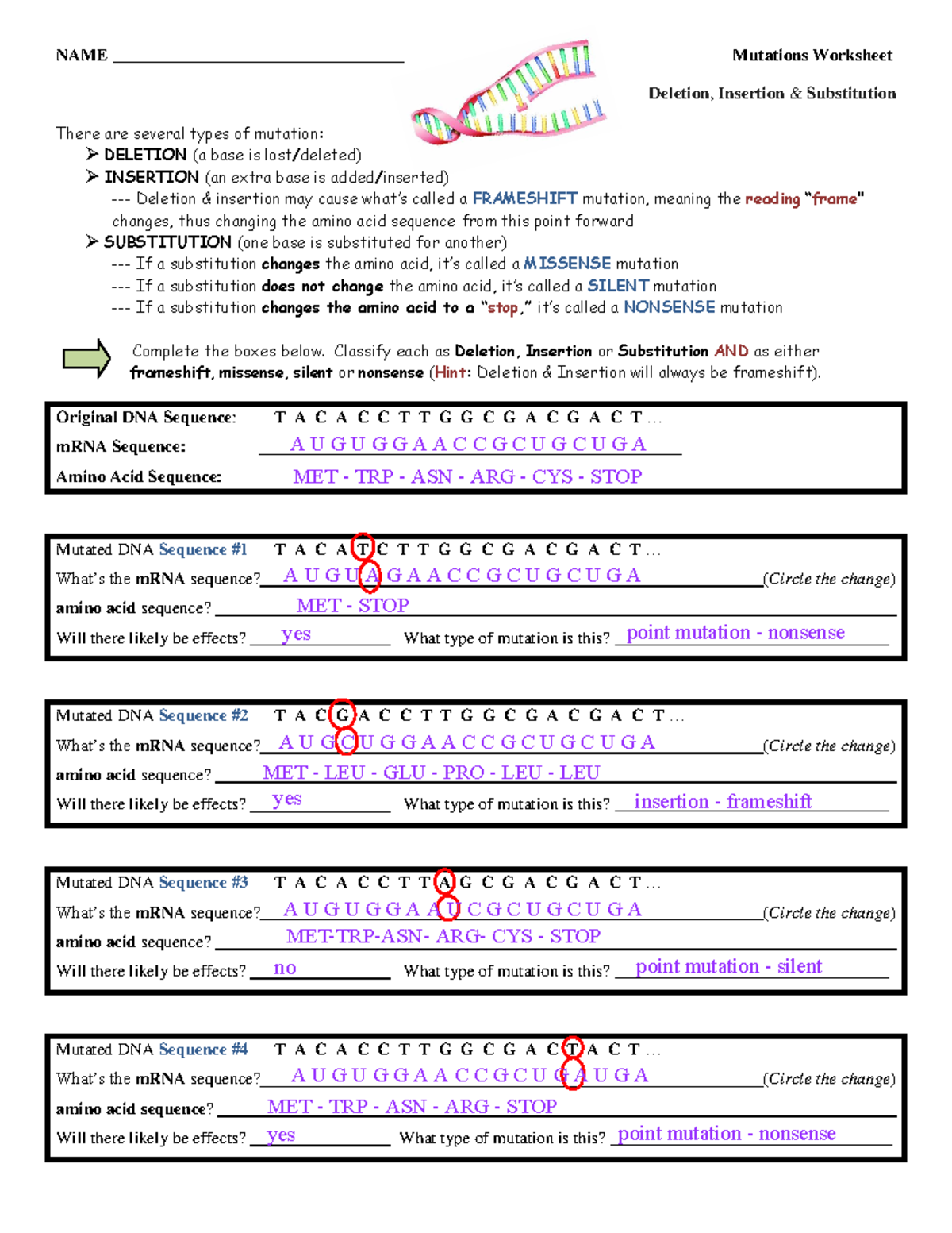 Bio-Worksheet-Mutations - BIOLUA22 - Human Biology - NYU - StuDocu With Genetic Mutation Worksheet Answer Key