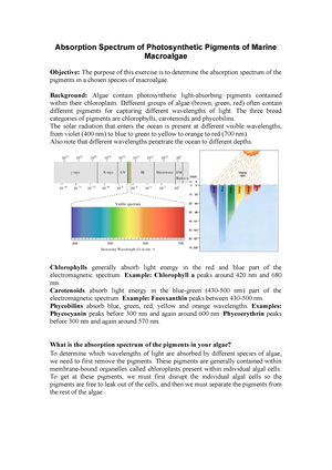 Absorption Spectra of pigments lab - Absorption Spectrum of Photosynthetic  Pigments of Marine - Studocu