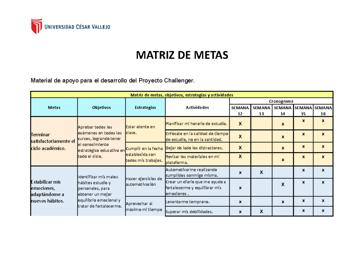 1° Matriz DE Metas - Uriarte - MATRIZ DE METAS Material de apoyo para ...