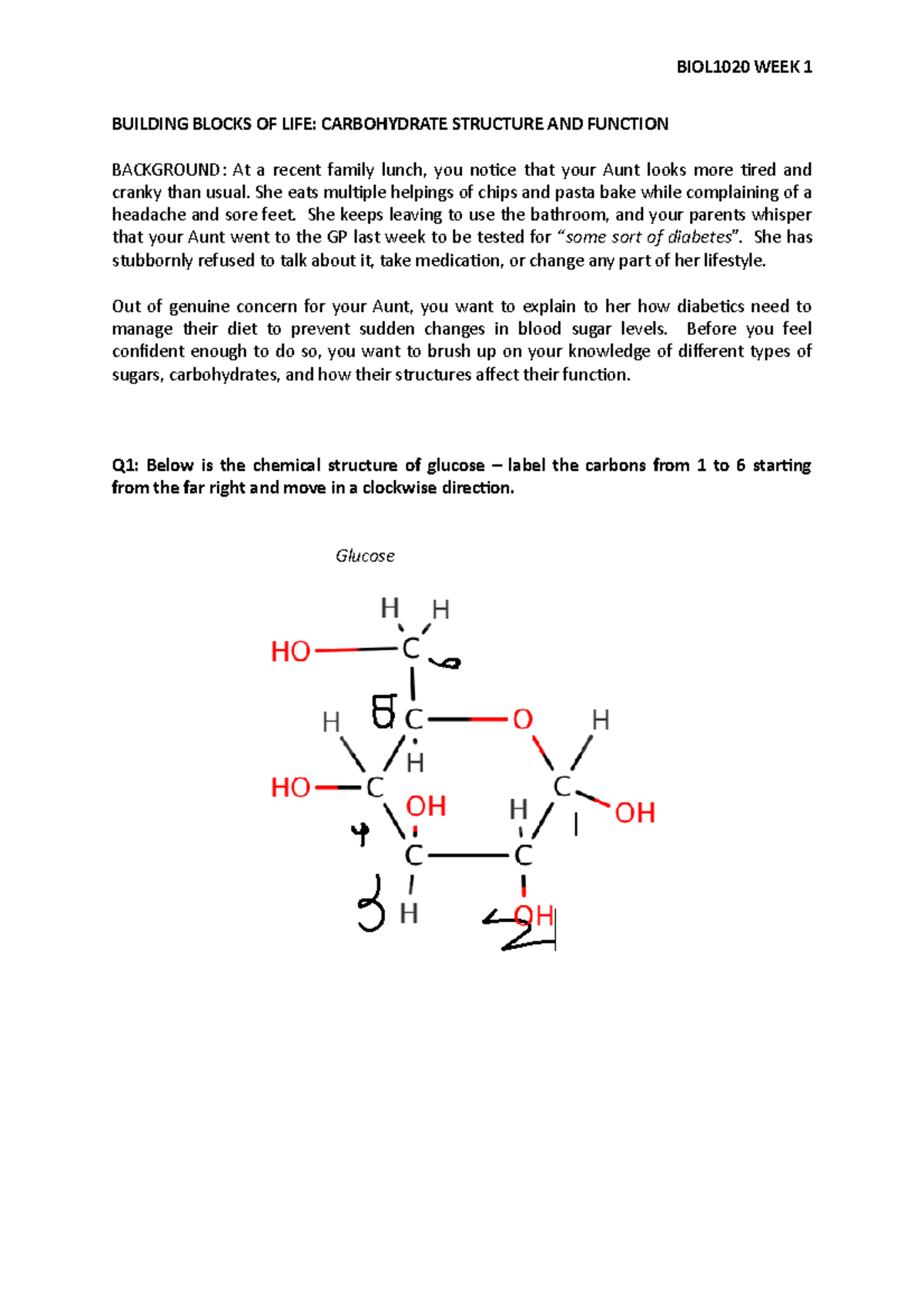 BIOL1020 week1worksheet BUILDING BLOCKS OF LIFE CARBOHYDRATE