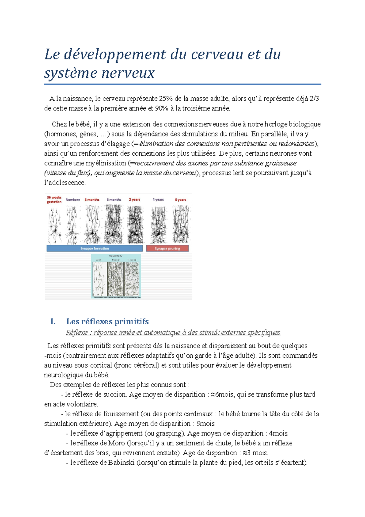 4 Le développement du cerveau et du système nerveux - Le développement ...