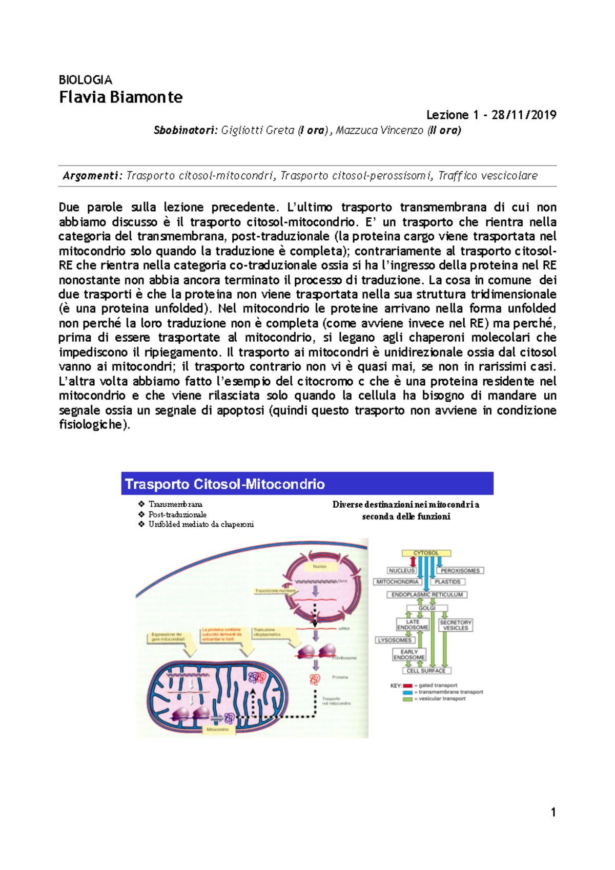 Lezione 12 - Biologia - 28 11 - Biamonte - BIOLOGIA Flavia Biamonte ...