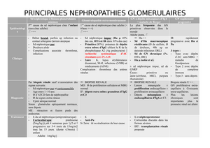 Principales Nephropathies Glomerulaires - PRINCIPALES ...