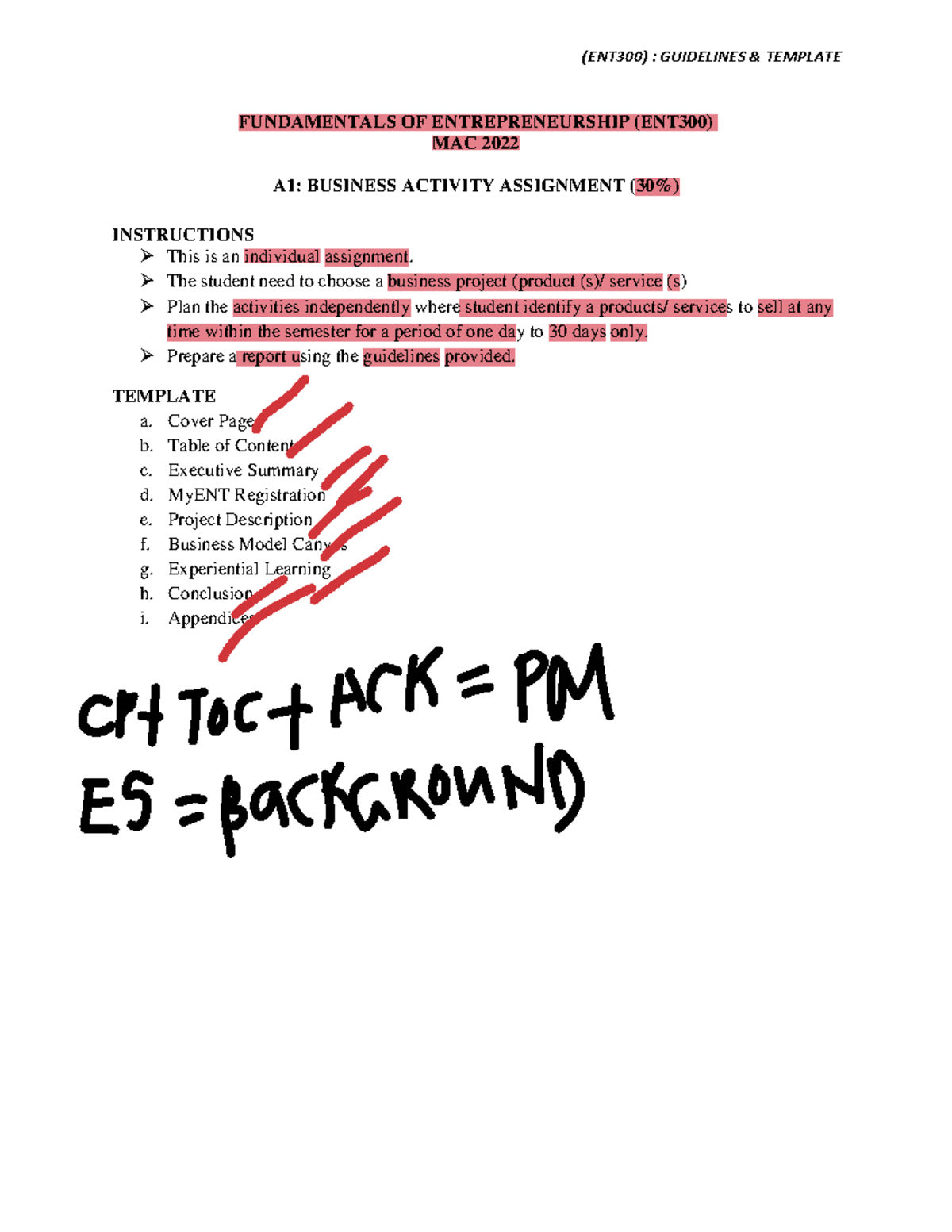 ent300-a1-guidelines-and-template-ent300-guidelines-template