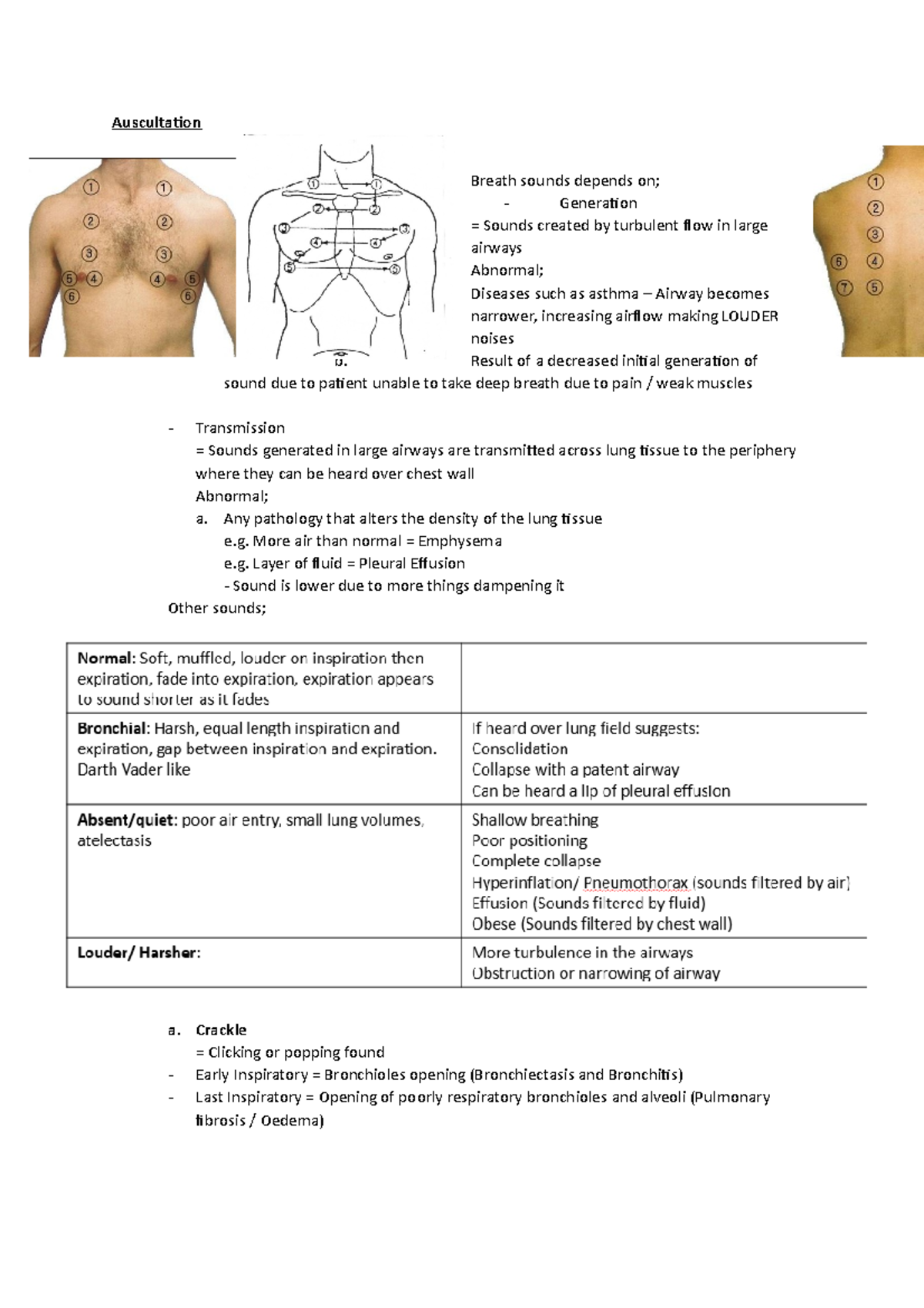 Auscillations - Pictures, how and where and what each sound means ...