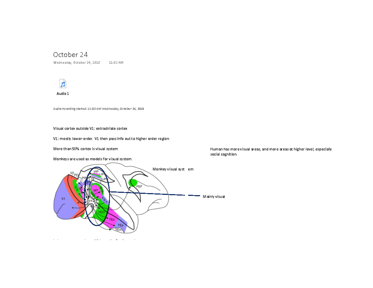 Lecture Notes 12 Warning Tt Undefined Function 32 Audio 1 Audio