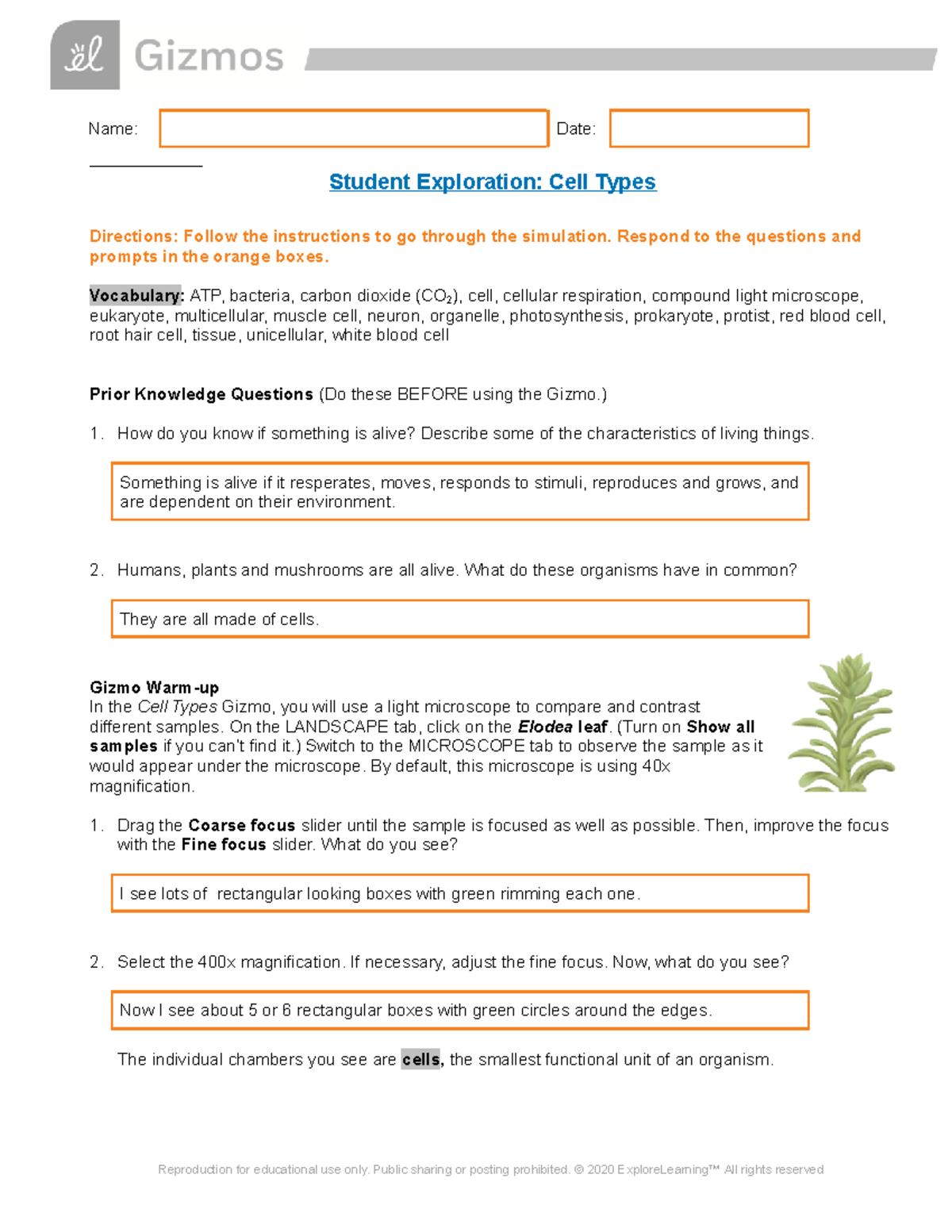 Cell Types Gizmo - Name: Date: Student Exploration: Cell Types ...