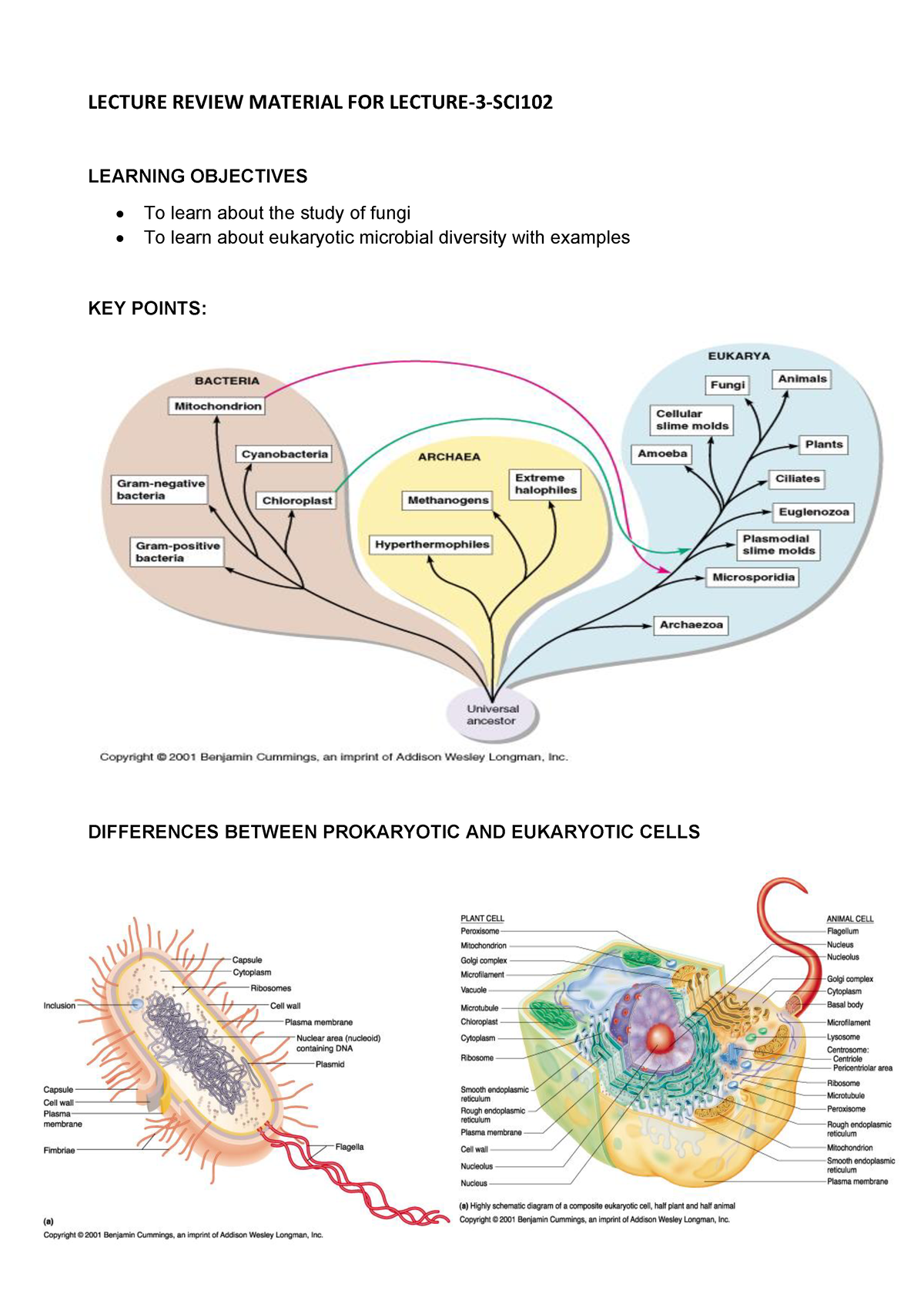 SCI102 LECTURE 3 NOTES BIODIVERSITY AND ECOLOGY - LECTURE REVIEW ...