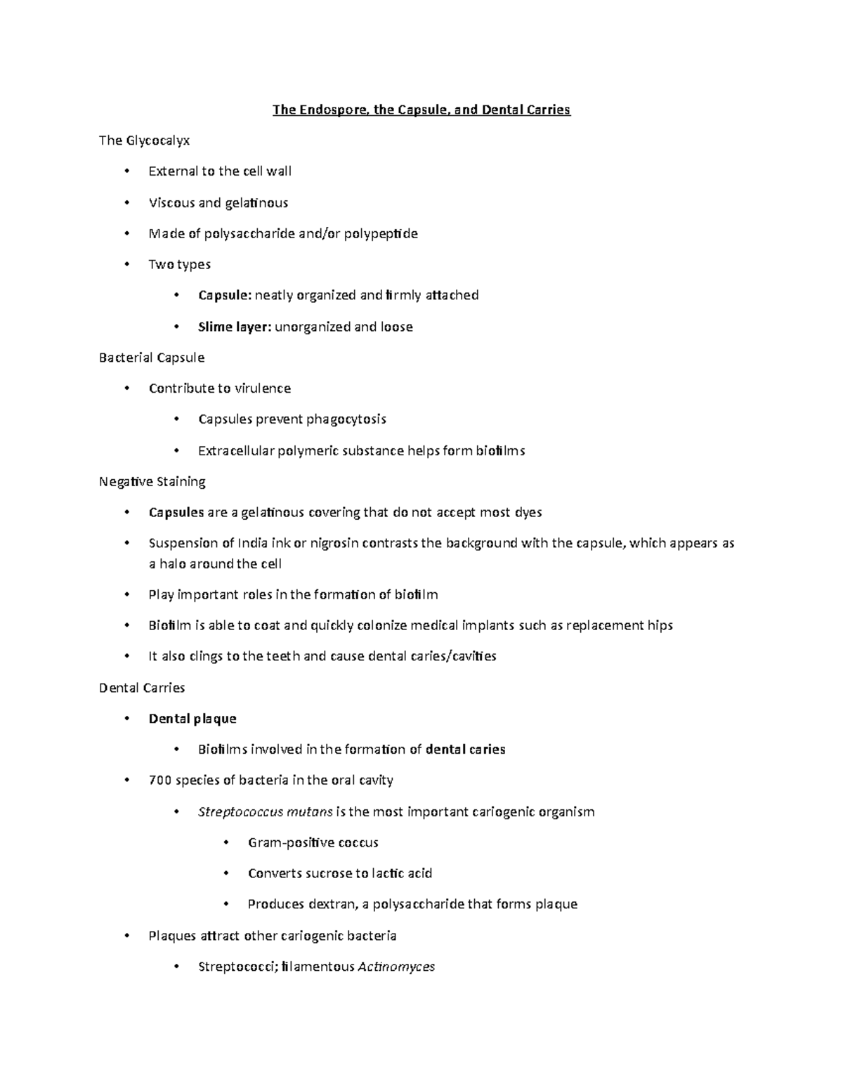 Capsule and Endospore The Endospore, the Capsule, and