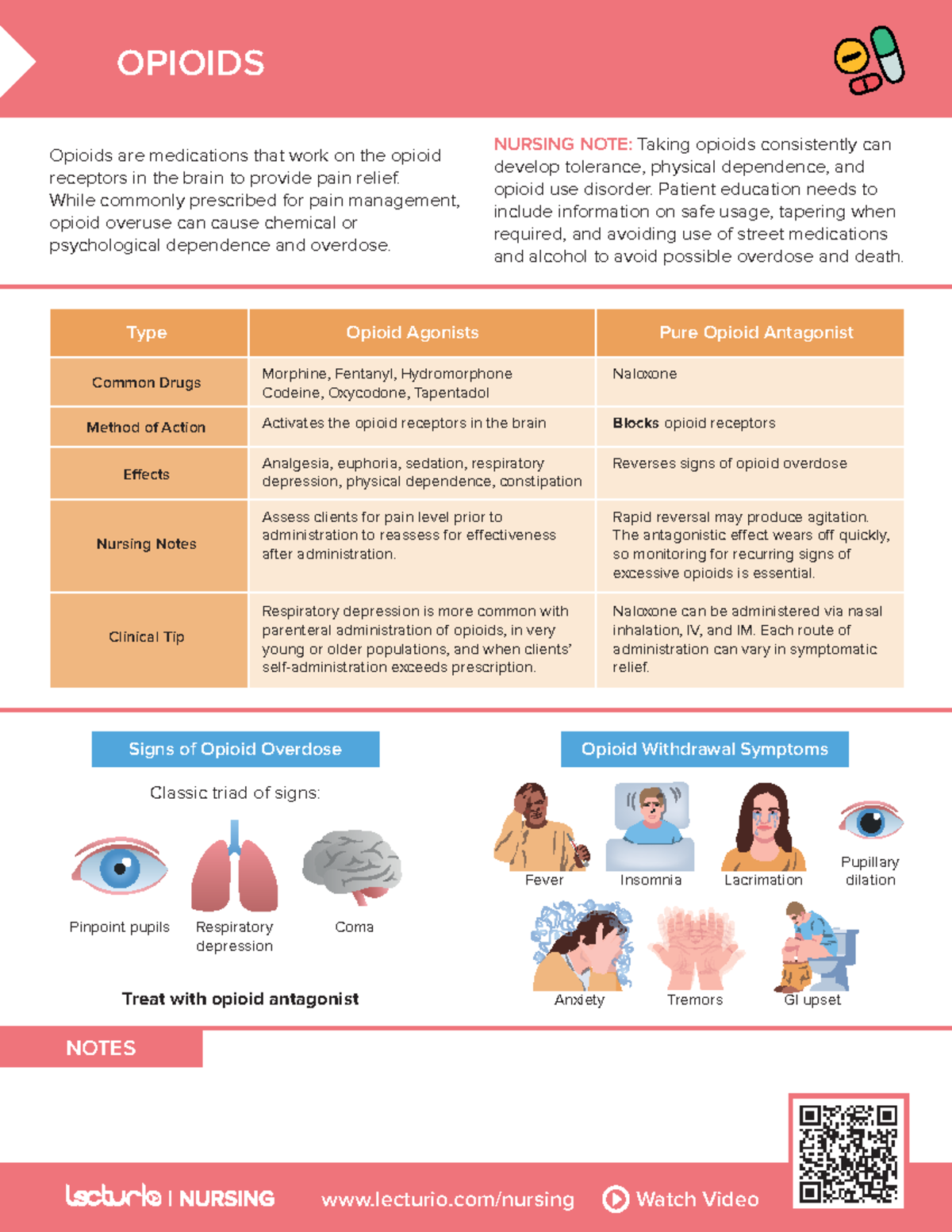 Nursing CS Opioids - ASGAG - lecturio/nursing Watch Video NOTES Opioids ...