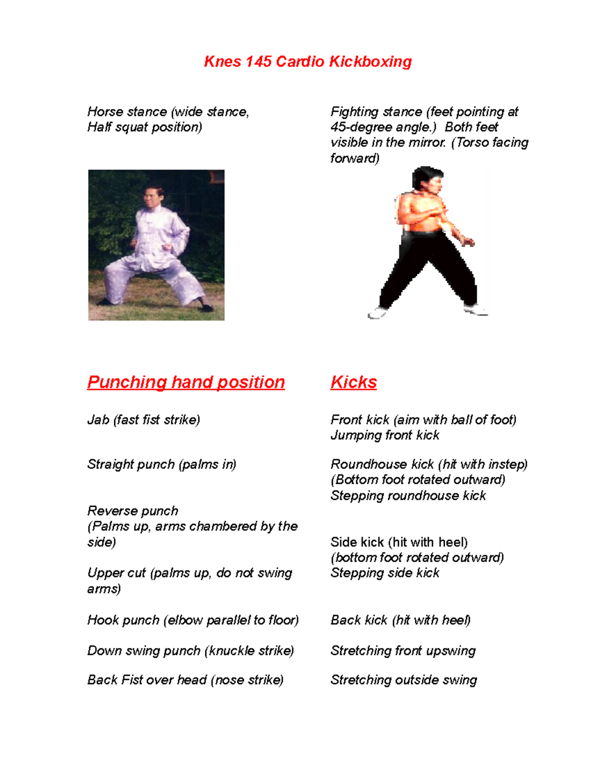 Punch and kicks description 2017 Knes 145 Cardio Kickboxing Horse