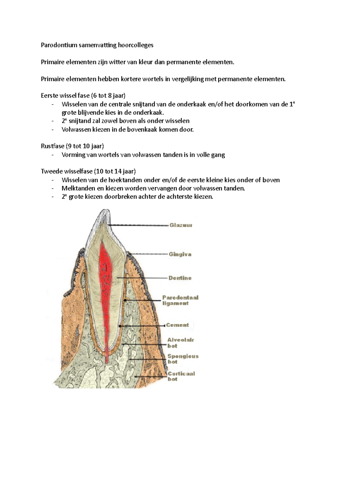 Parodontium Samenvatting Hoorcolleges - Parodontium Samenvatting ...