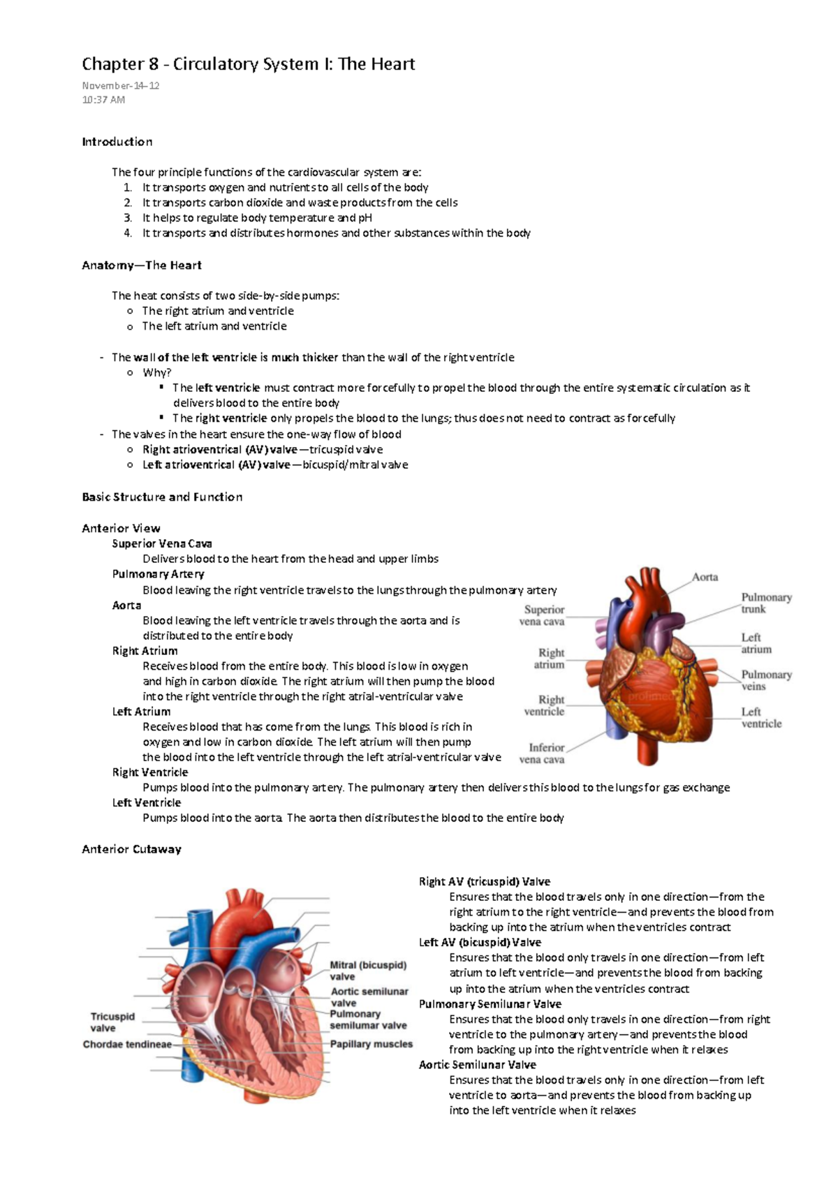 Chapter 8 Circulatory System I The Heart 2 - Introduction It transports ...