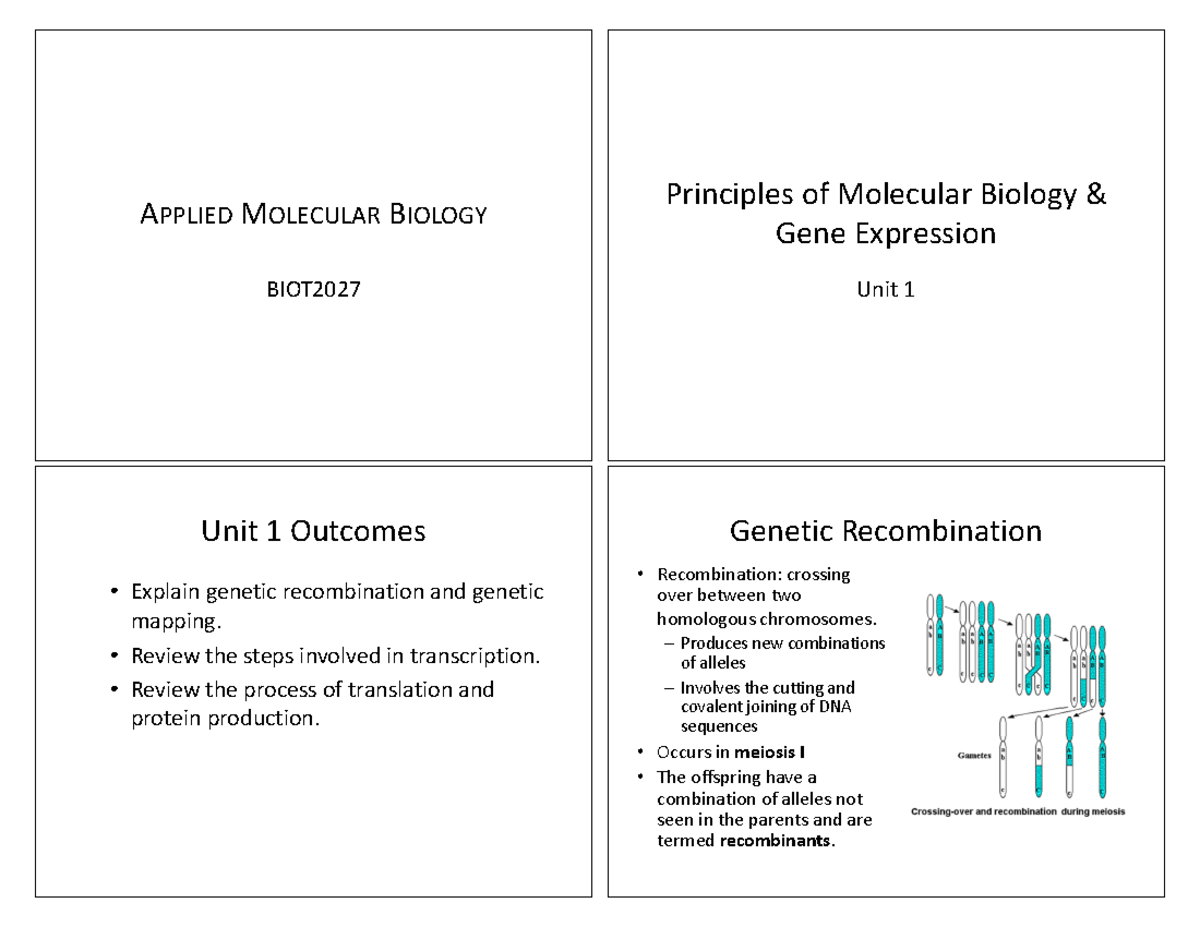 Unit 1 Principles of Molecular Biology & Gene Expression ...