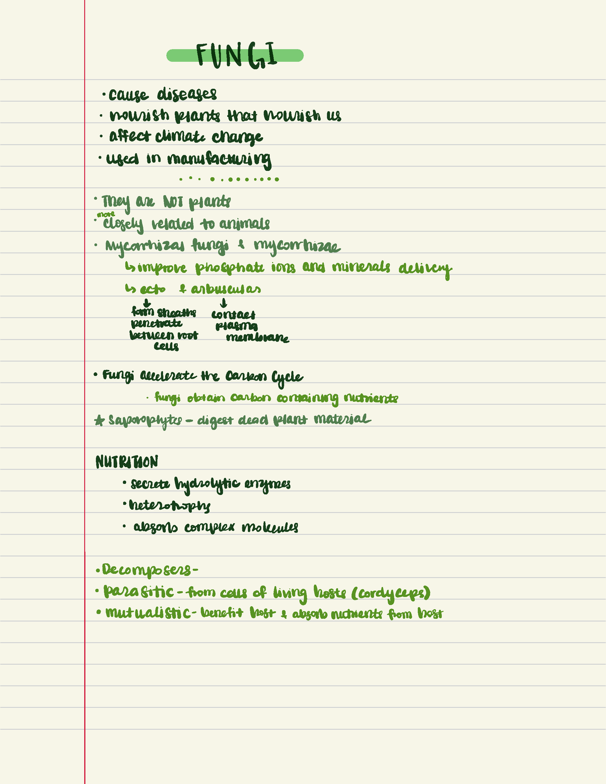 Fungi - Lecture Notes - FUNGI - Cause Diseases - Nourish Plants That ...