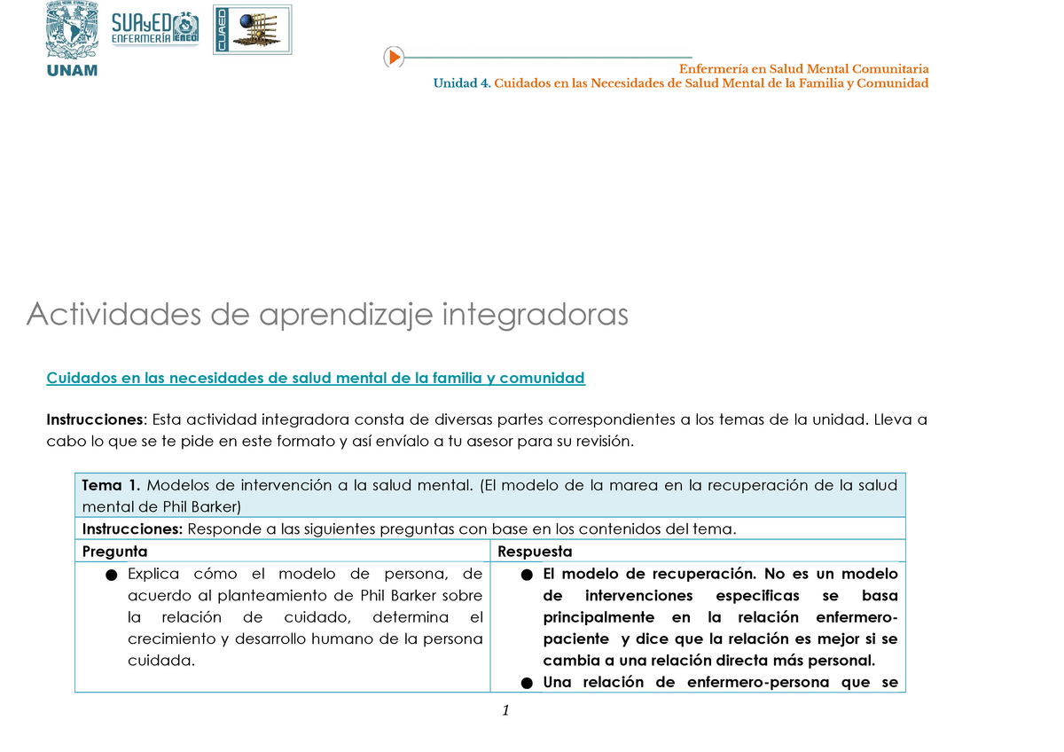 Cuidados en las necesidades de salud mental de 3853357 - Enfermería en  Salud Mental Comunitaria - Studocu