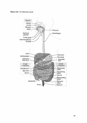 Diagrams & Figures - The Appendicular Skeleton - VFF26M1 - Studocu