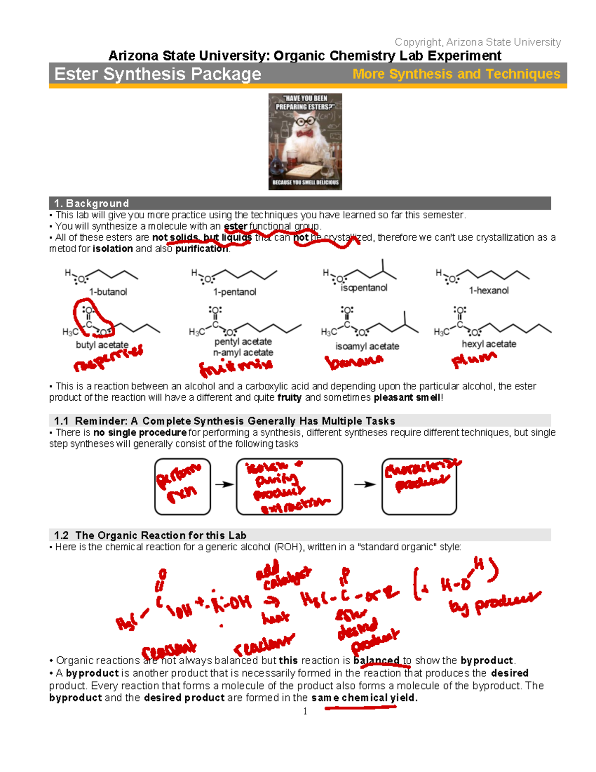 Esterification - Lab notes filled out - Copyright, Arizona State ...