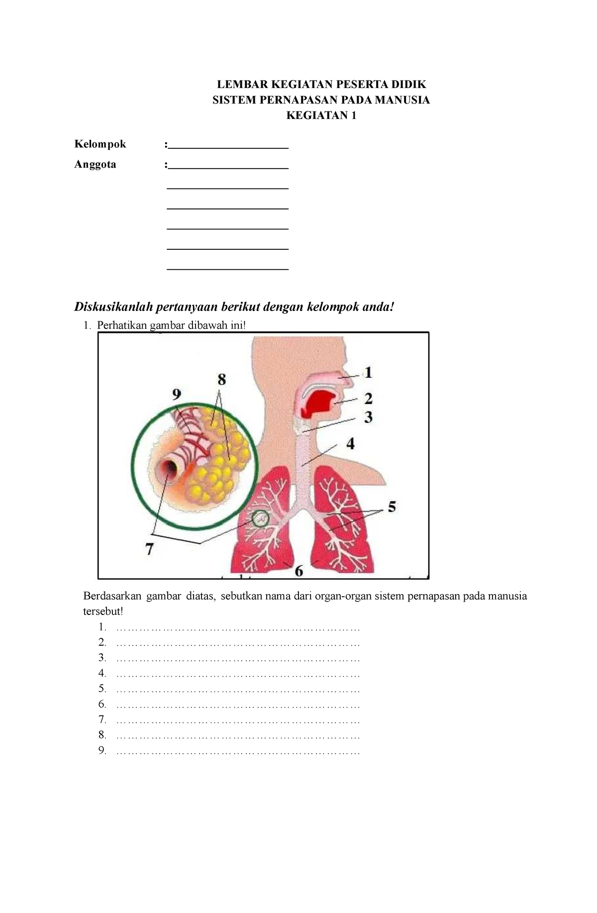 LKPD Pernapasan - LEMBAR KEGIATAN PESERTA DIDIK SISTEM PERNAPASAN PADA ...