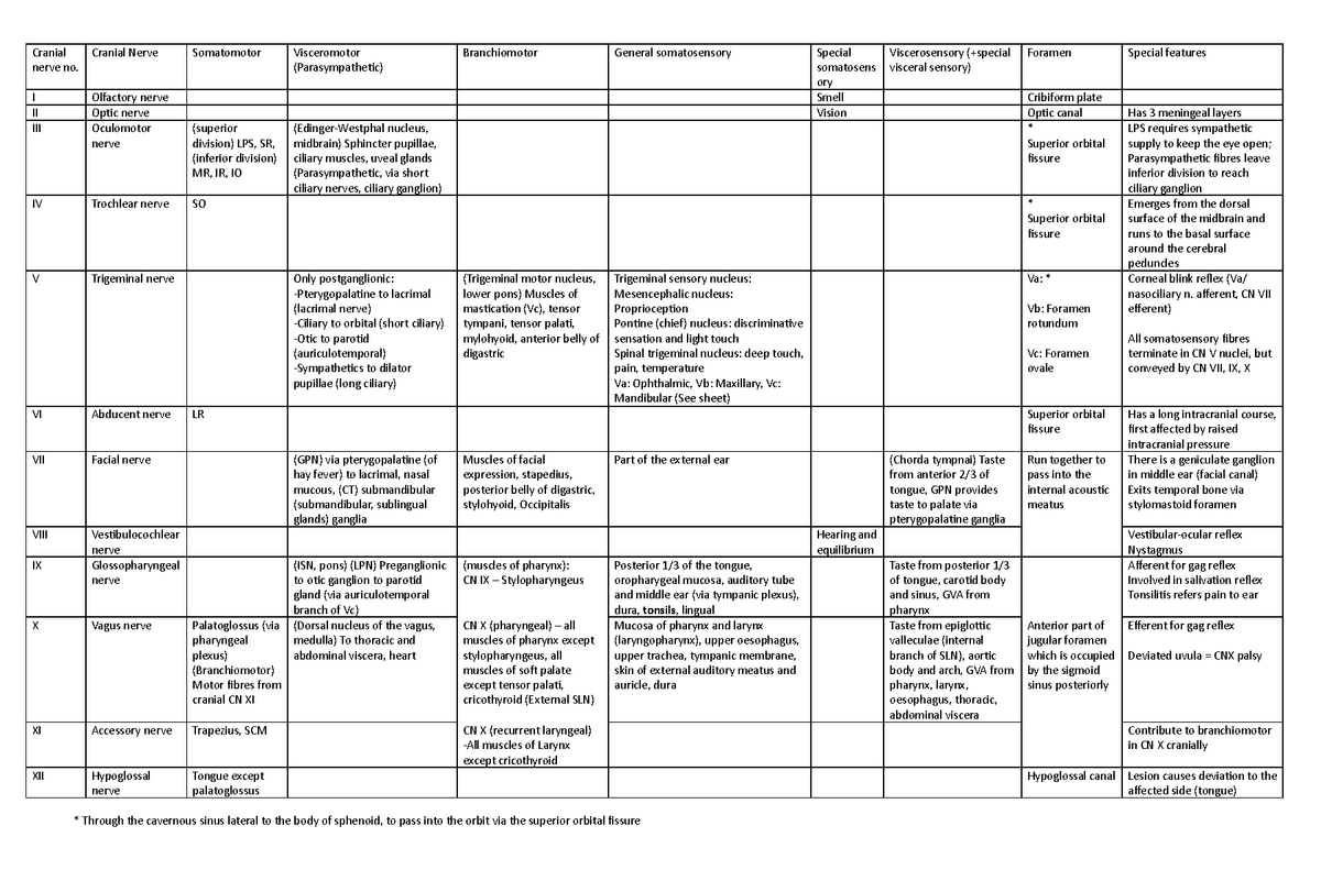 Cranial Nerves Summary Head And Neck Anatomy Cranial Nerve No Cranial Nerve Ii Studocu