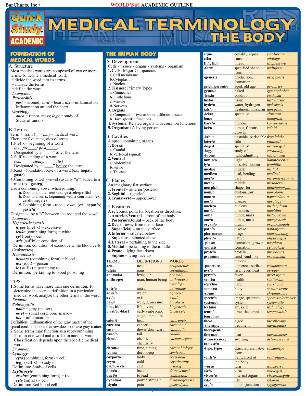 Bar Charts Quick Study Medical Terminology The Body By Corinne B 