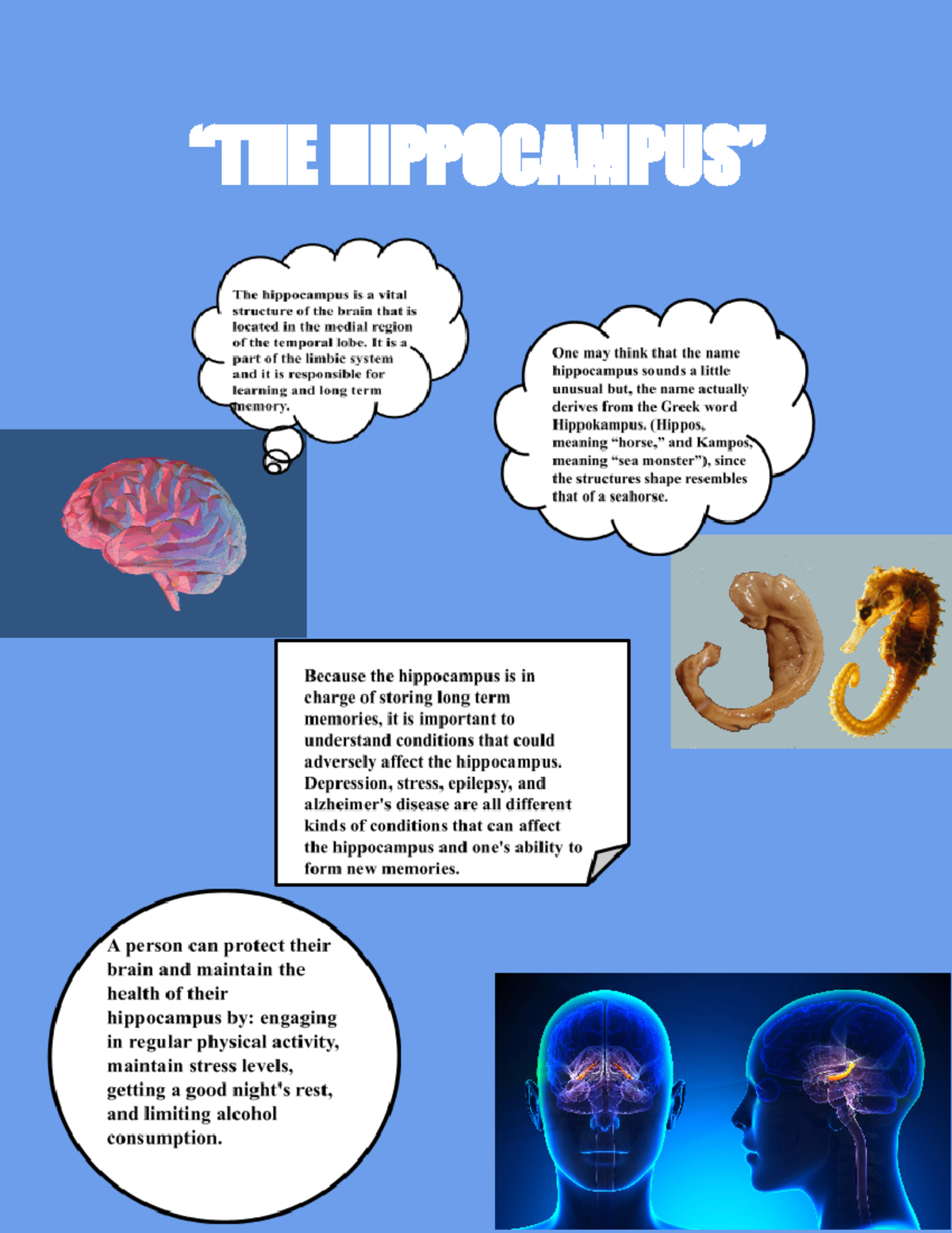 The Hippocampus - It is a part of the limbic system One may think that ...