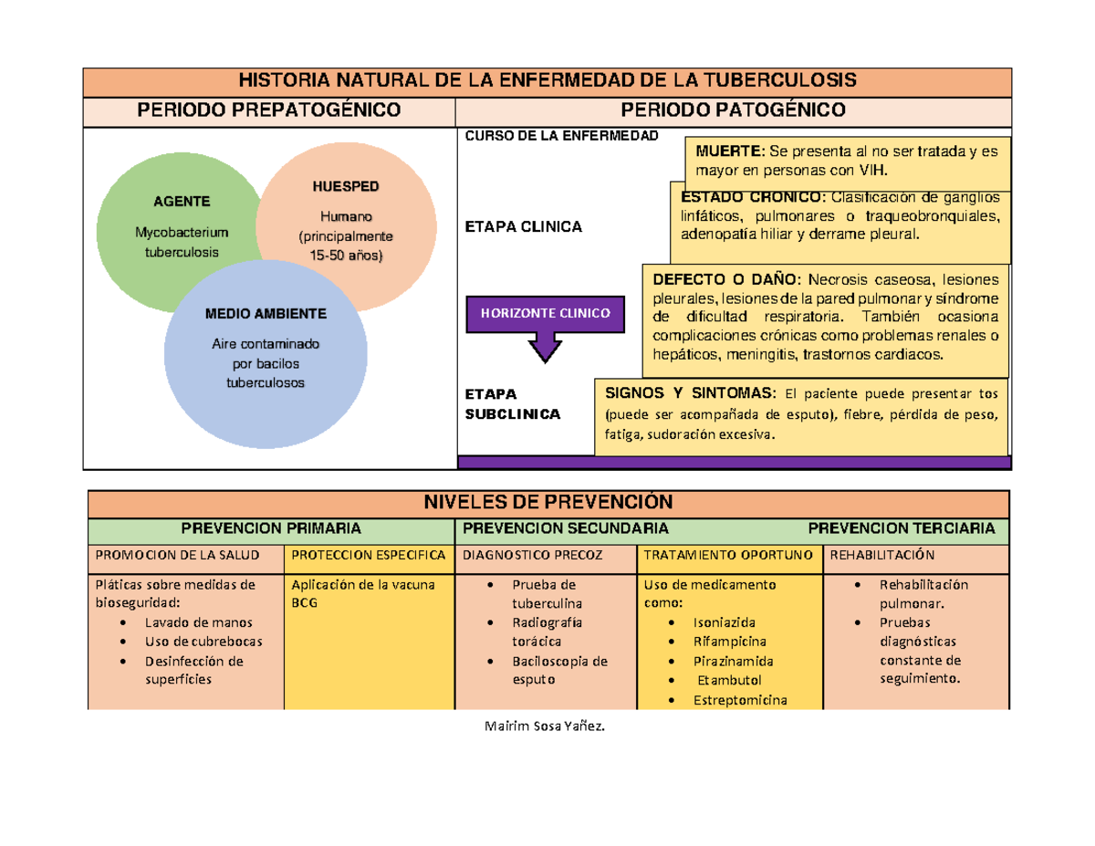 Historia natural de la Enfermedad Tuberculosis - NIVELES DE PREVENCIÓN