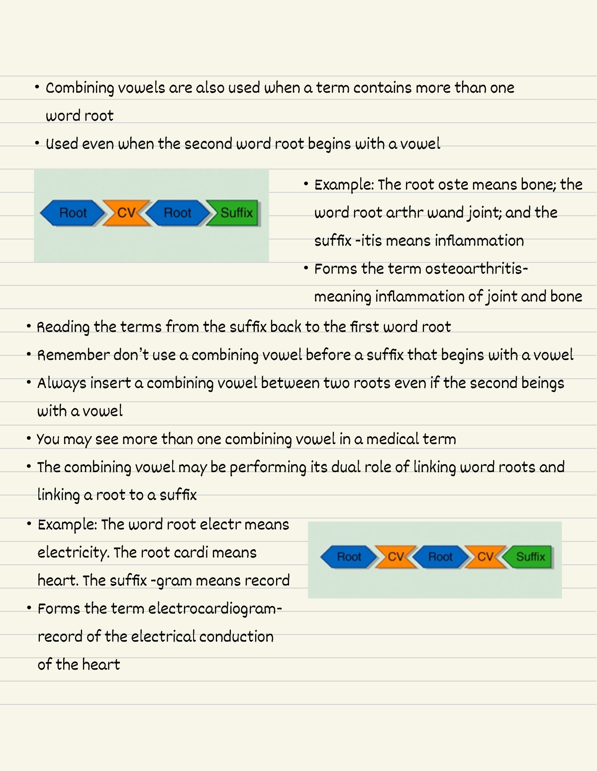 medical-terminology-8-combining-vowels-combining-vowels-are-also