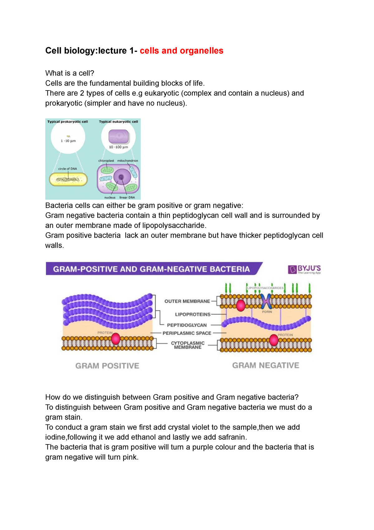 Cell Biology Lecture 1- Cells And Organelles - Cell Biology:lecture 1 ...