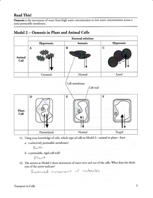 Questions 1-3 - Biology answers - GtT-e t^o-aj- why? Transport in Cells ...