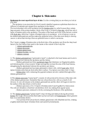 Chapter 5 detailed notes - Chapter 5 detailed notes The four tissue ...