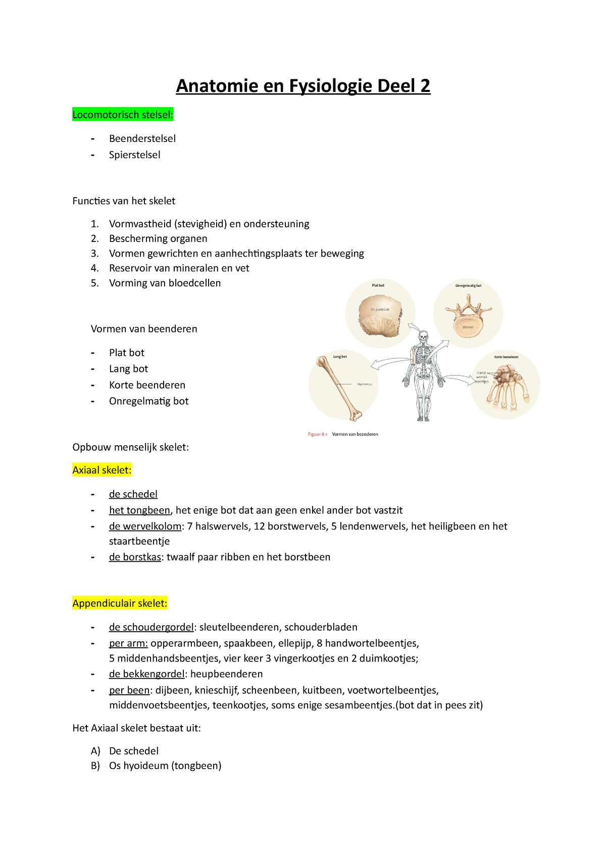 Anatomie En Fysiologie Deel 2 Beenderstelsel Anatomie En Fysiologie