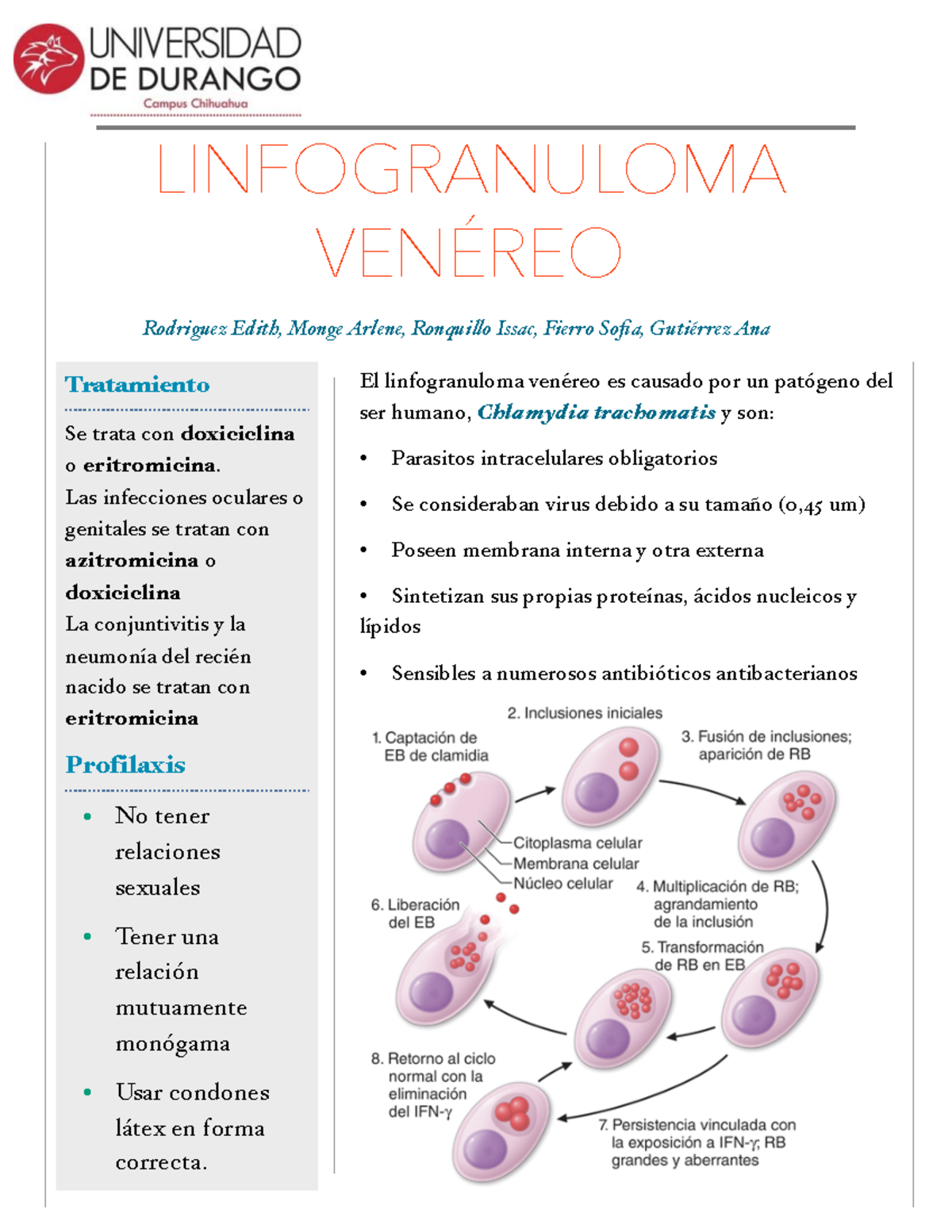 Cartel Clamidia Pdf El Linfogranuloma Venéreo Es Causado Por Un