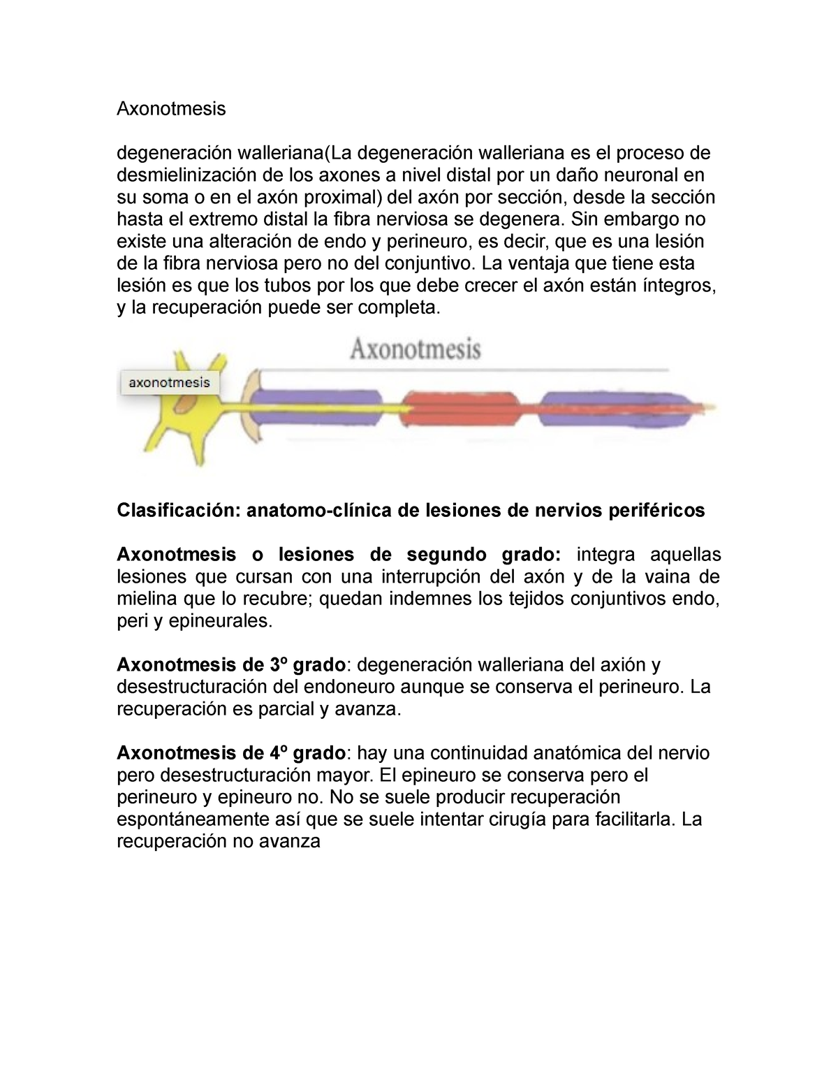 Axonotmesis - Notas - Axonotmesis degeneración walleriana(La ...