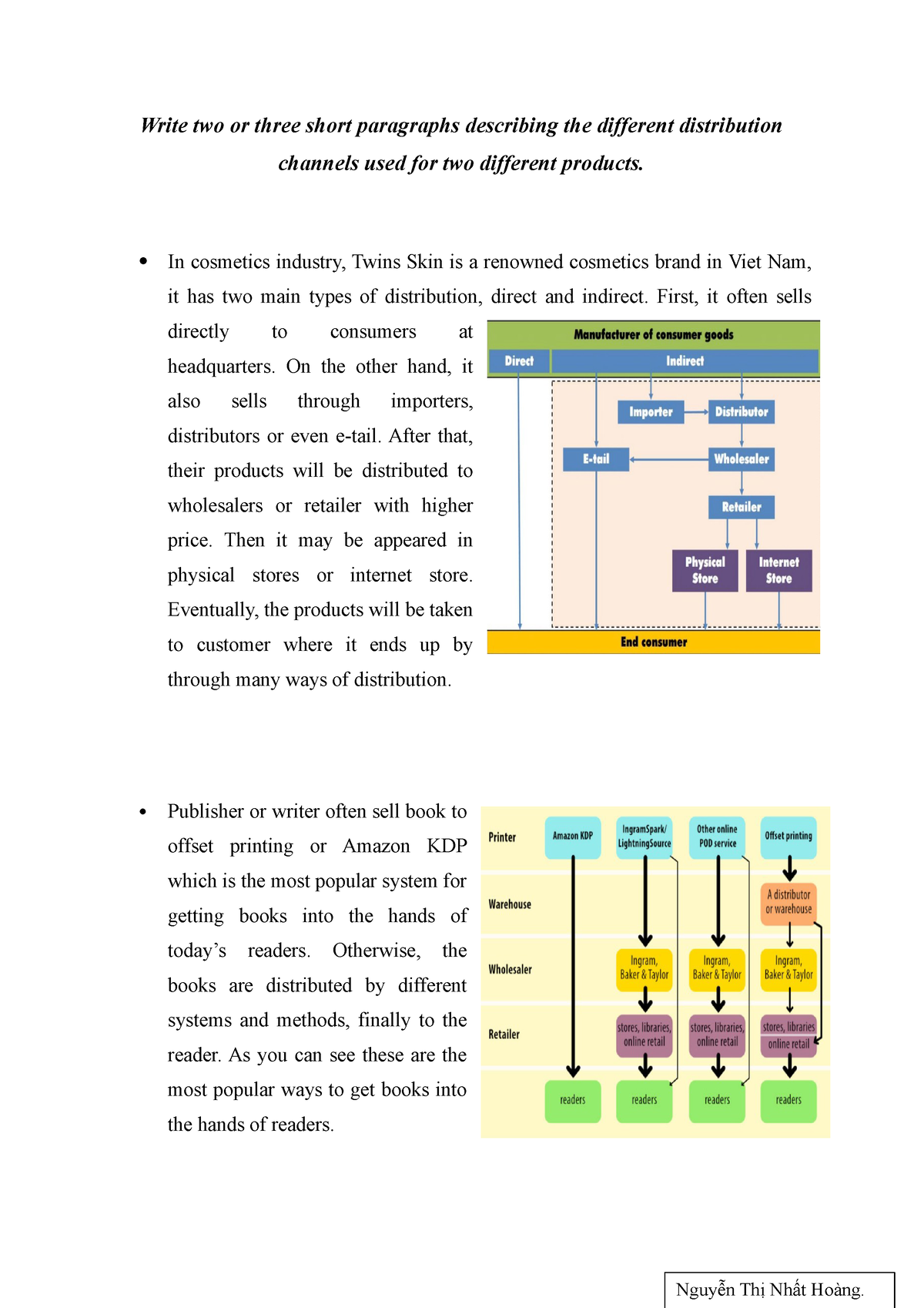 literature review of distribution channels