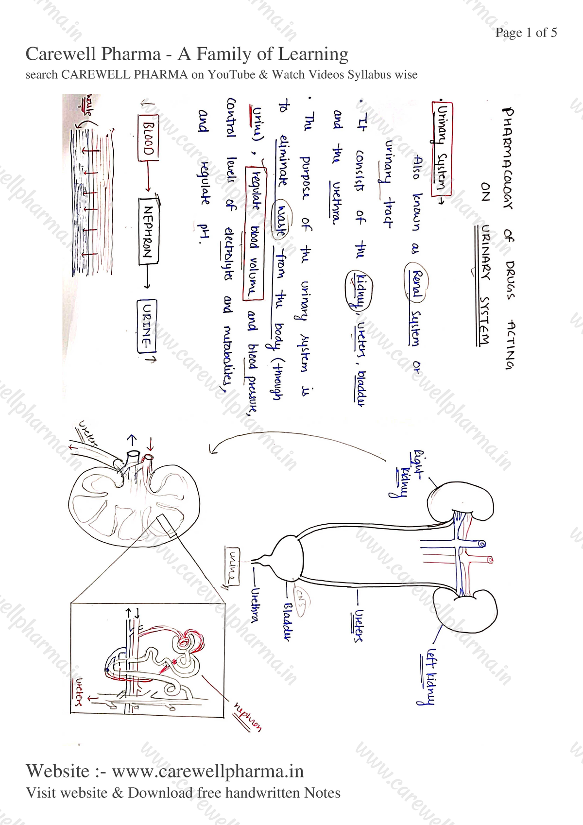 Chapter 5, Unit 2, Pharmacology 2, B Pharmacy 5th Sem, Carewell Pharma ...