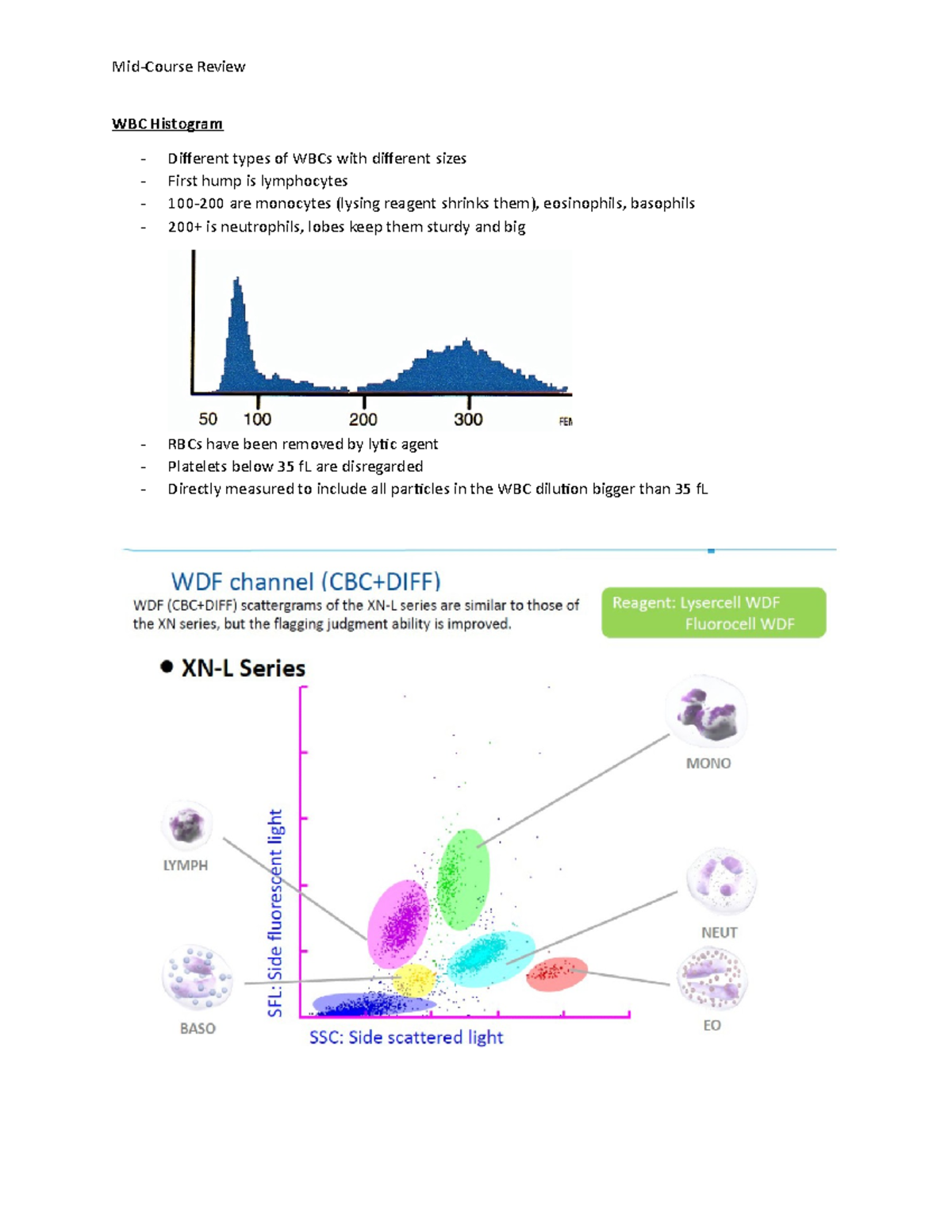 (4) Mid Course Review Nancy Bergernon MidCourse Review WBC