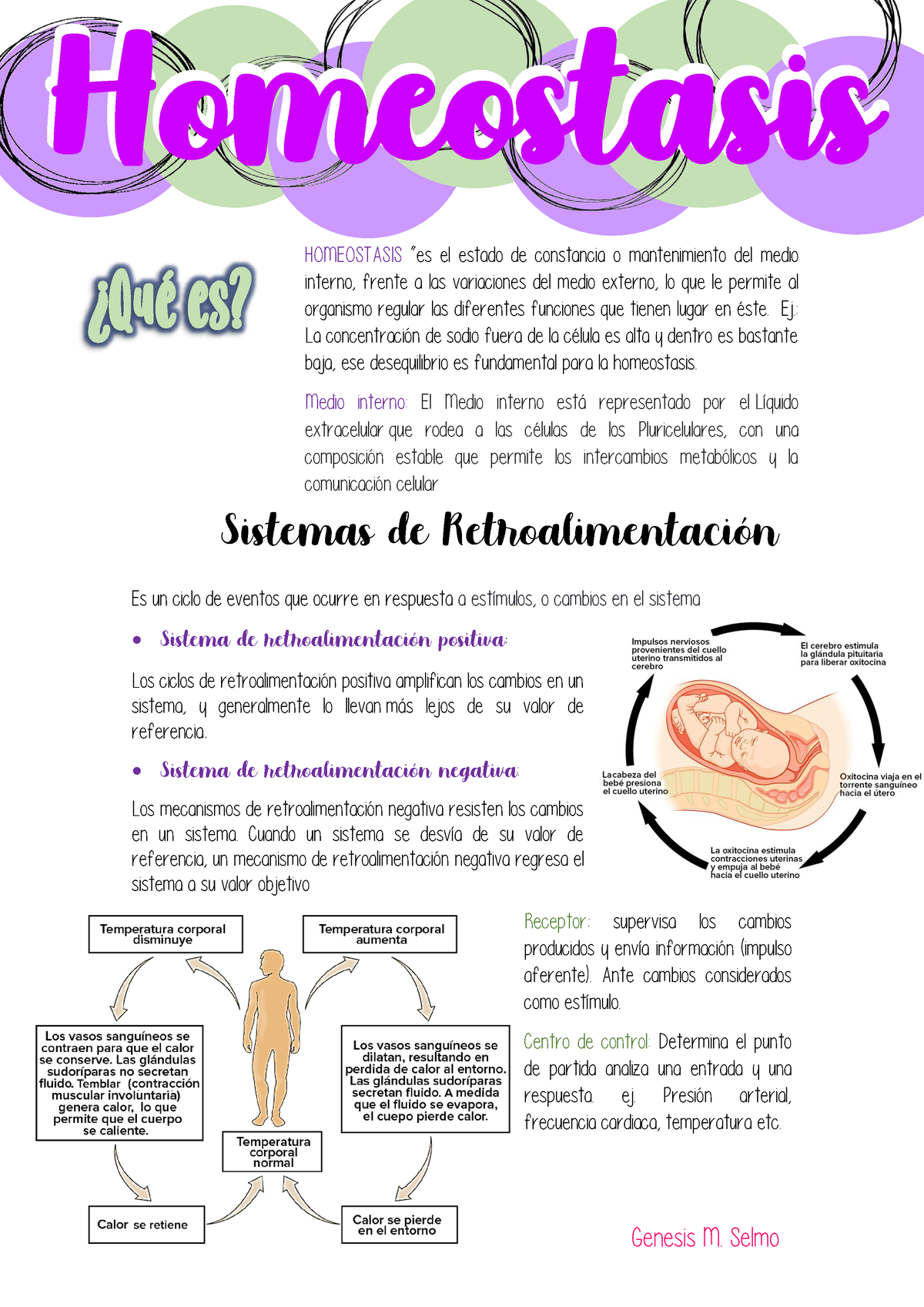 Homeostasis - Genesis M. Selmo Genesis M. Selmo Es Un Ciclo De Eventos ...