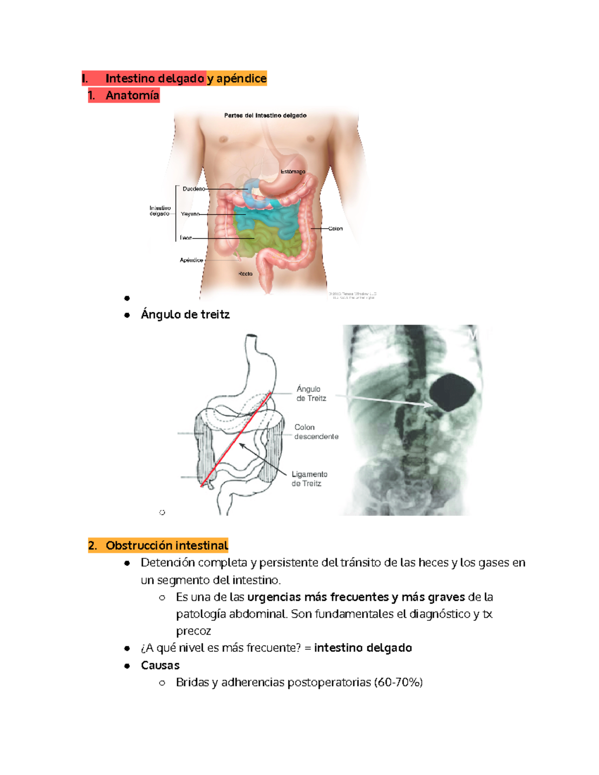 Guía tercer parcial - I. Intestino delgado y apéndice 1. Anatomía ...