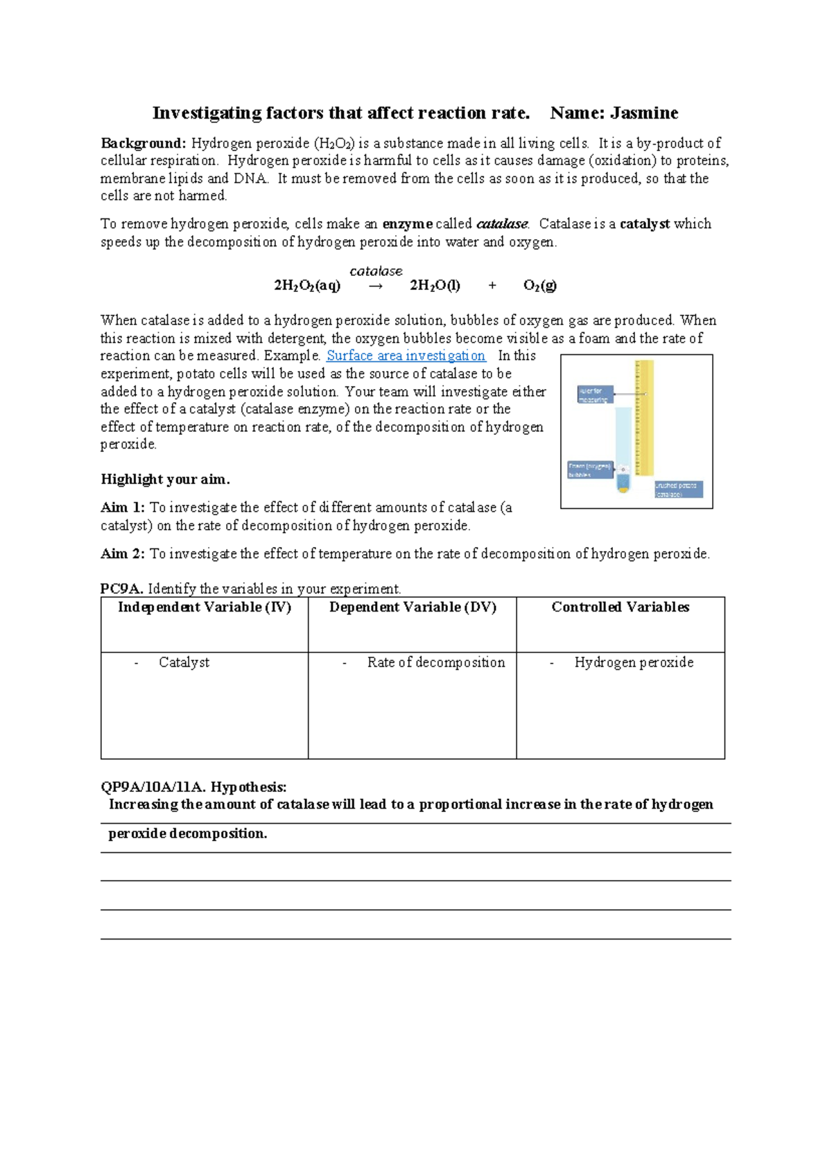 Prac - Investigating reaction rate - Investigating factors that affect ...