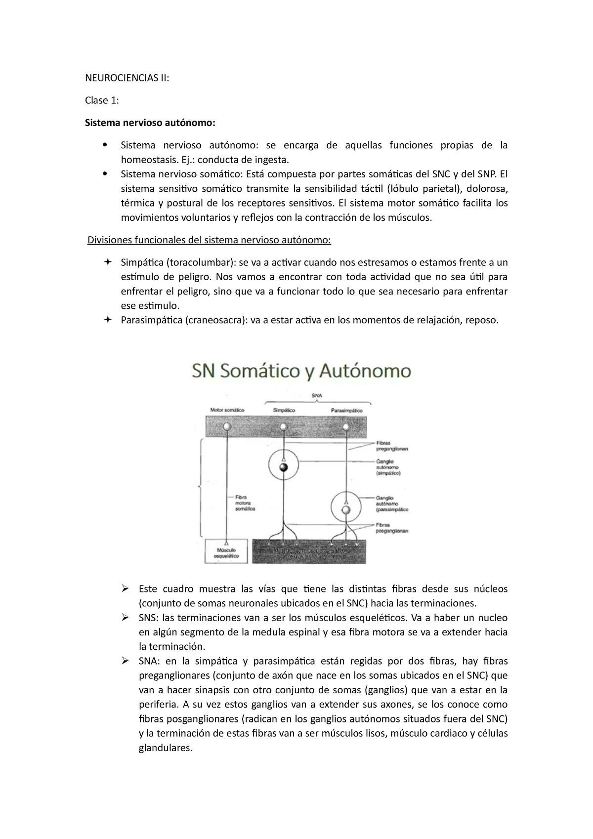 Apuntes Neurociencias II - NEUROCIENCIAS II: Clase 1: Sistema Nervioso ...