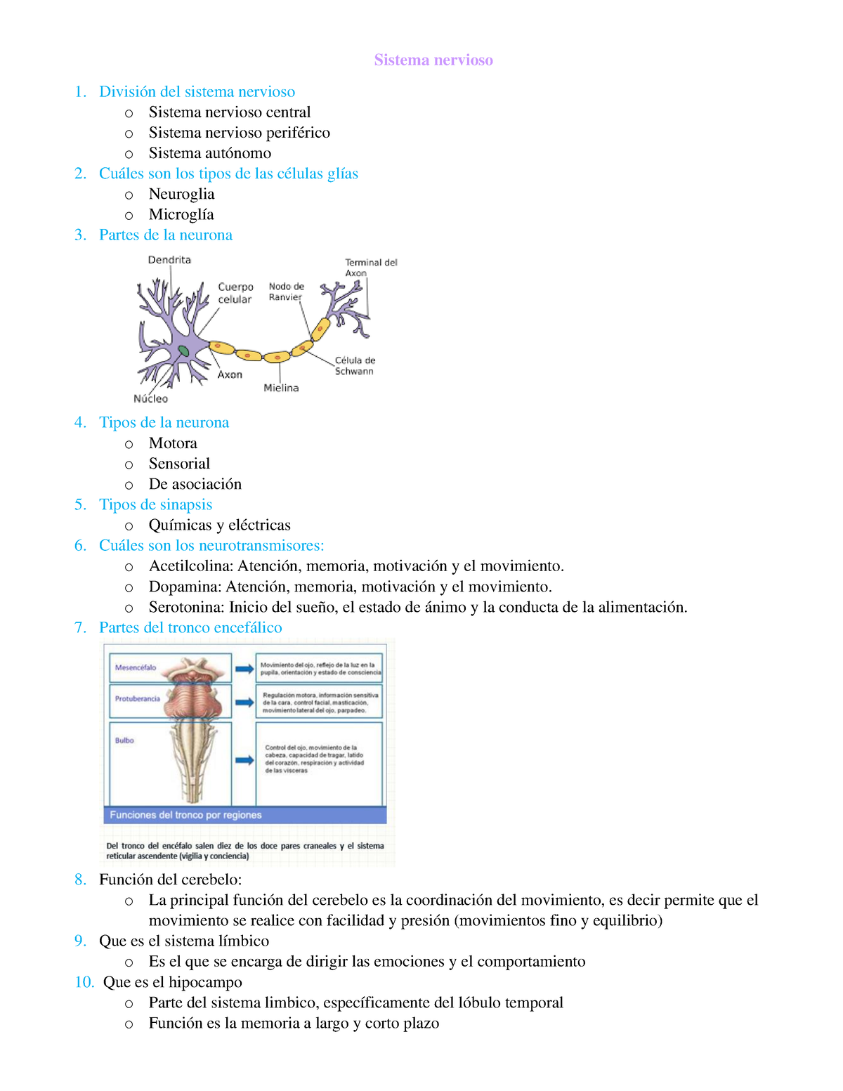 Cuestionario De Anatomia - Sistema Nervioso División Del Sistema ...