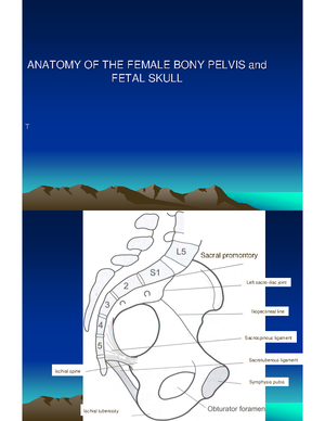 Episiotomy - Episiotomy Episiotomy is a surgical incision to enlarge ...